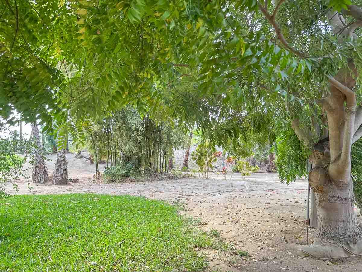 MLS #25-2328 image #9