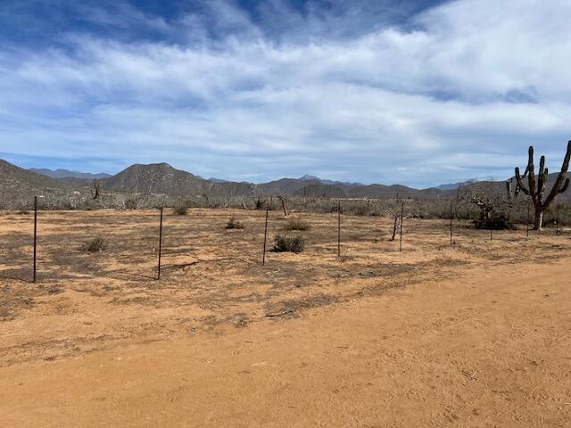 MLS #25-235 image #14