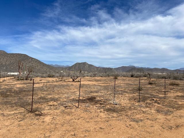 MLS #25-235 image #15