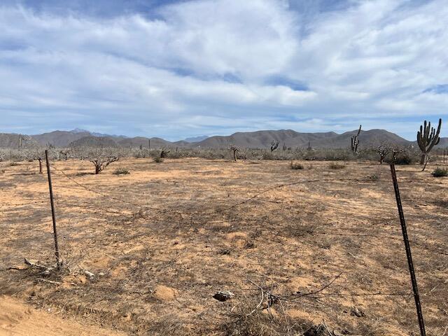 MLS #25-235 image #16