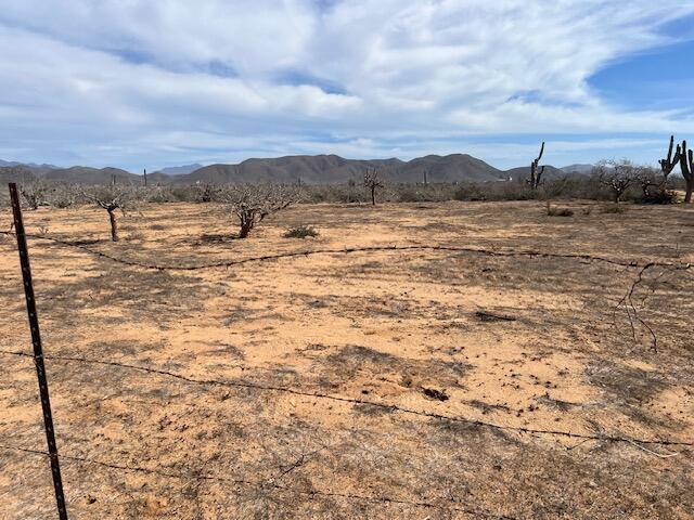 MLS #25-235 image #17