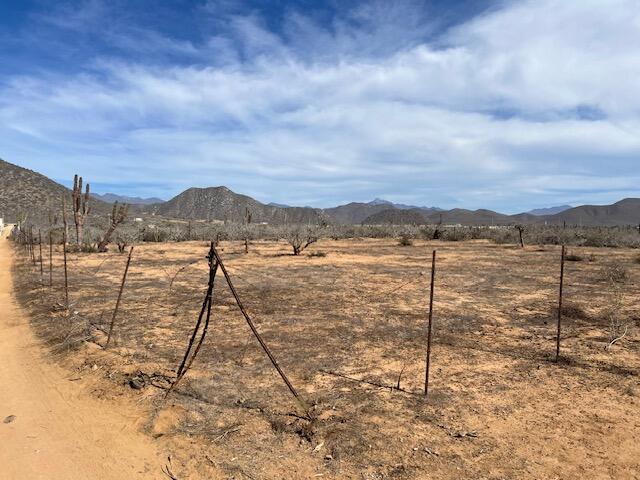 MLS #25-235 image #18