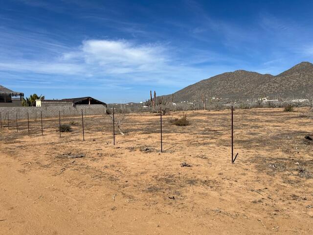 MLS #25-235 image #19