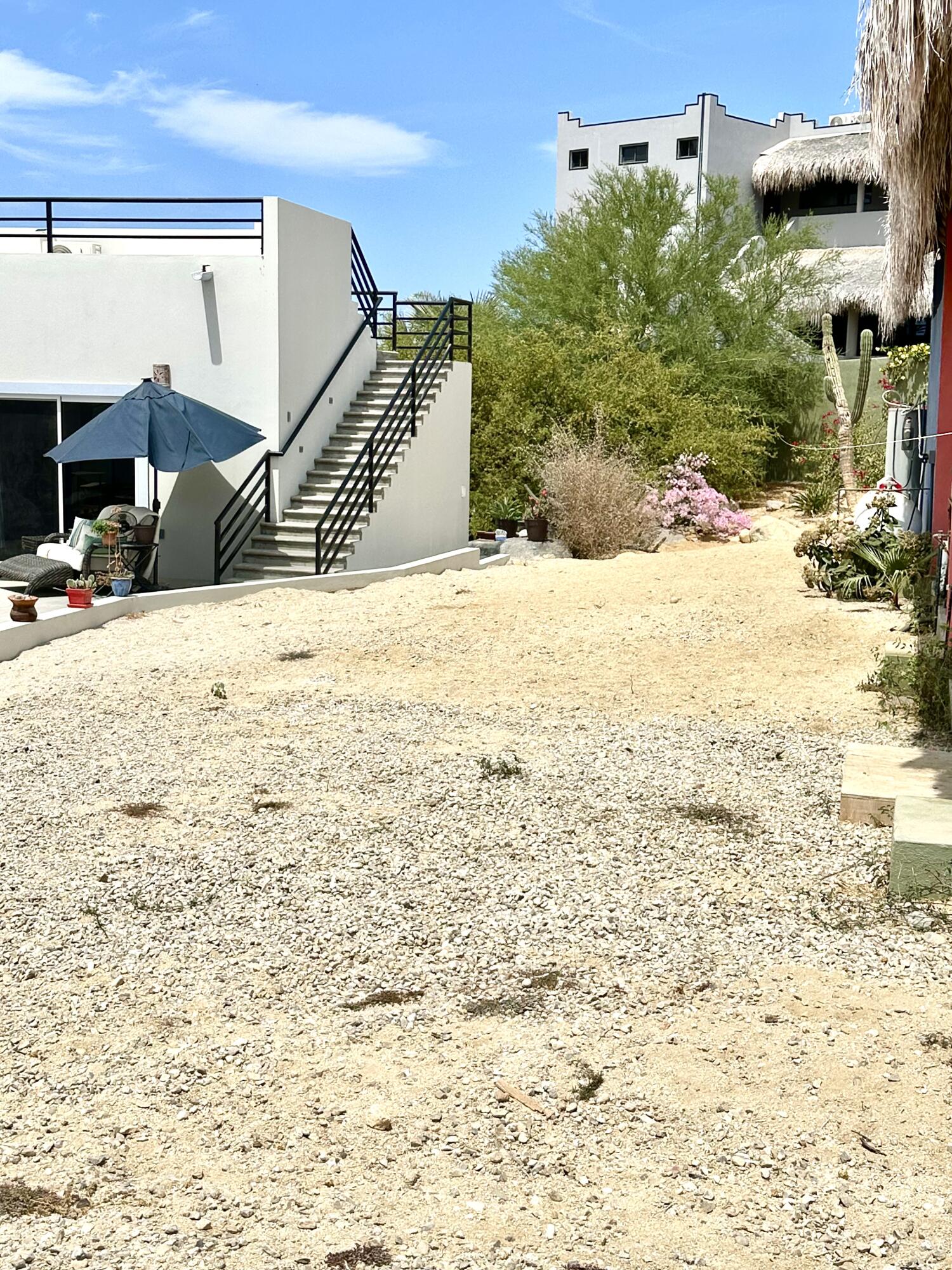 MLS #25-2384 image #3