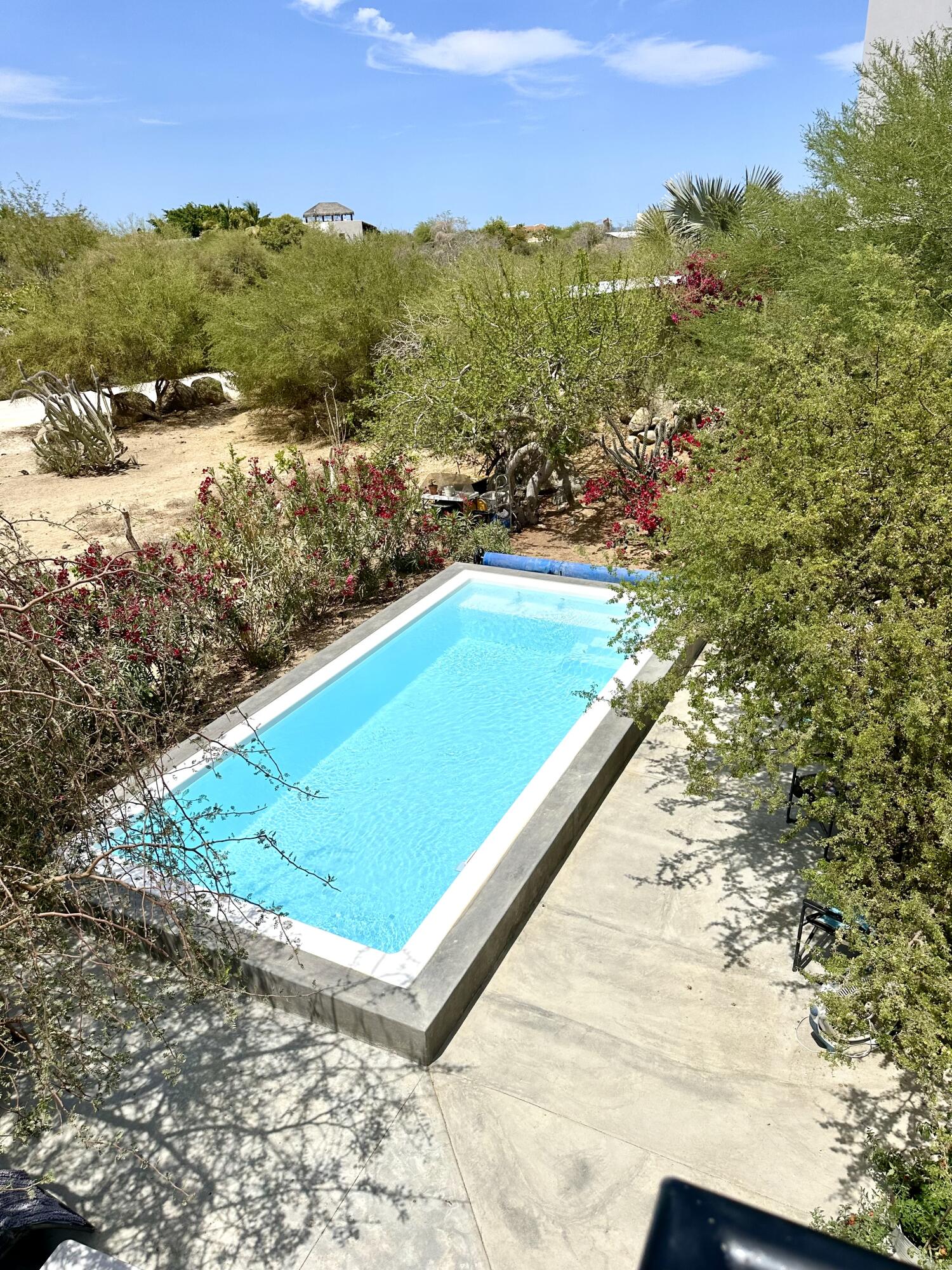 MLS #25-2384 image #5