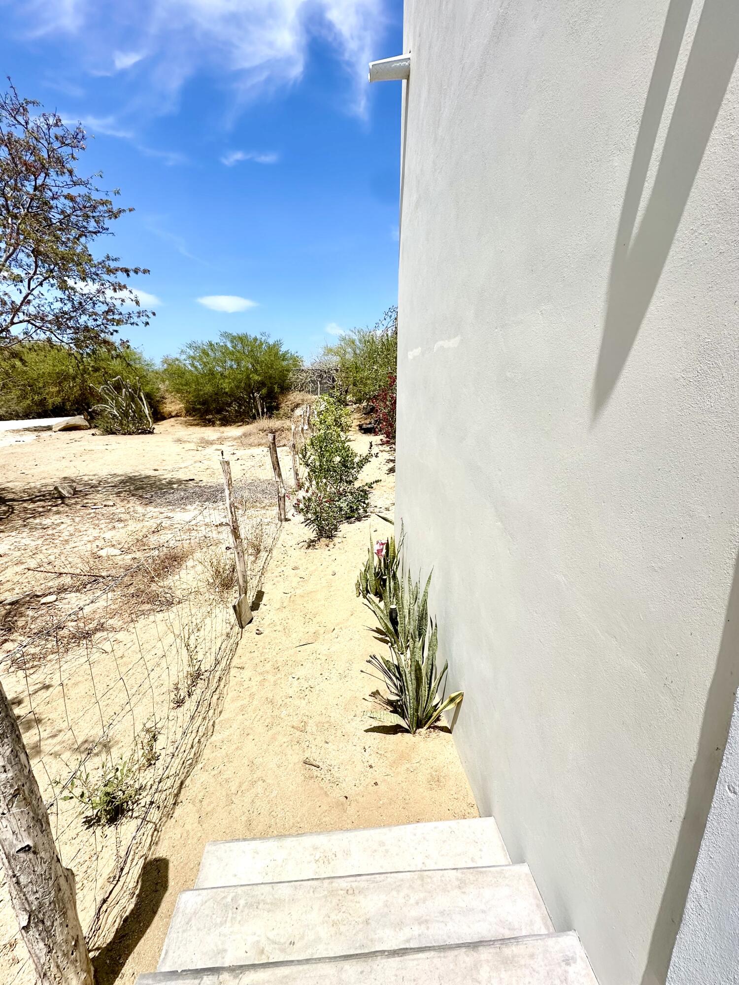 MLS #25-2384 image #6