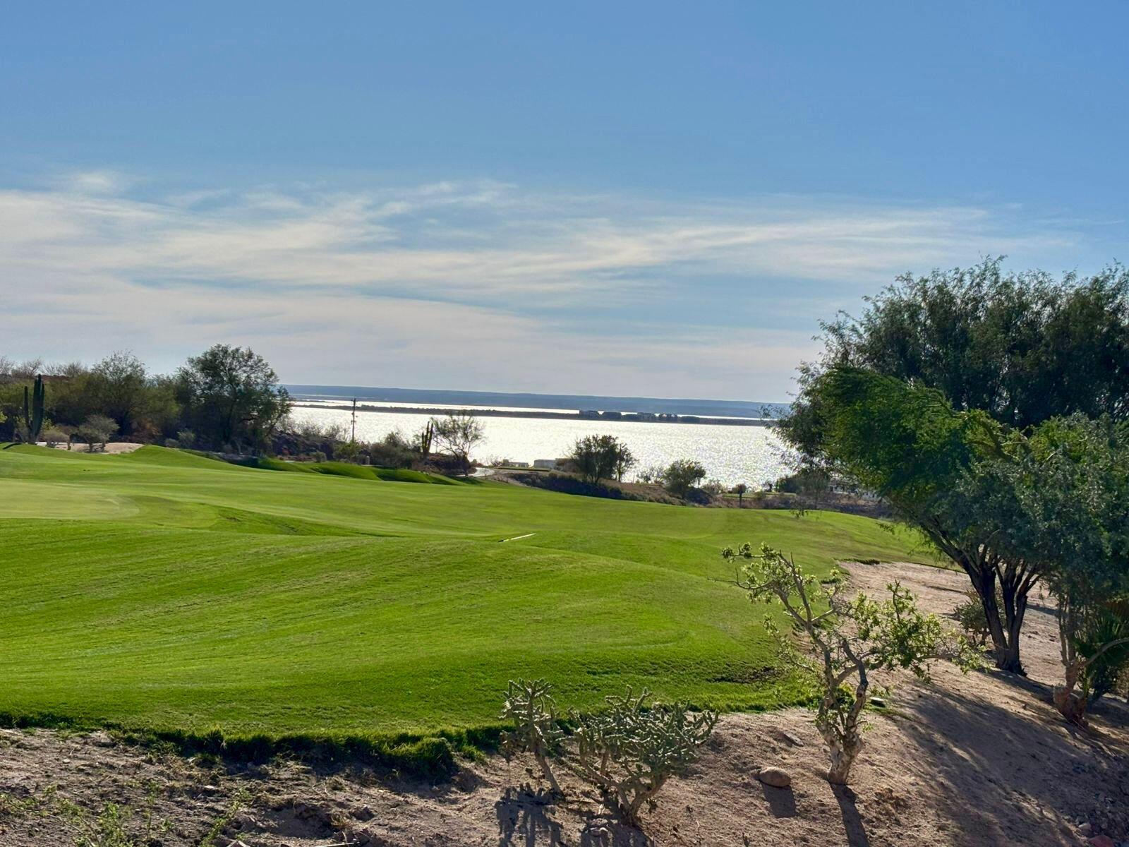 MLS #25-244 image #25