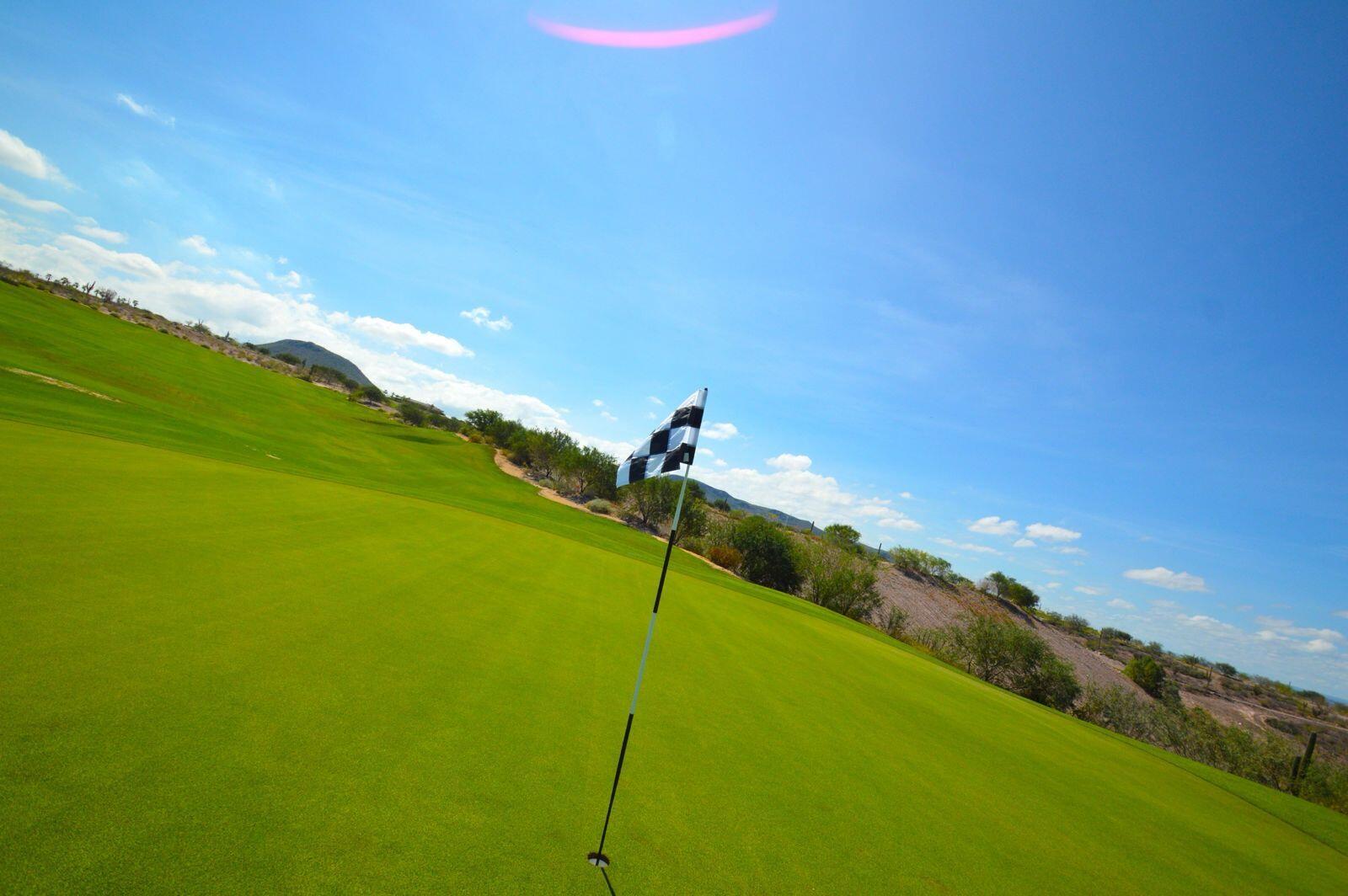 MLS #25-244 image #39