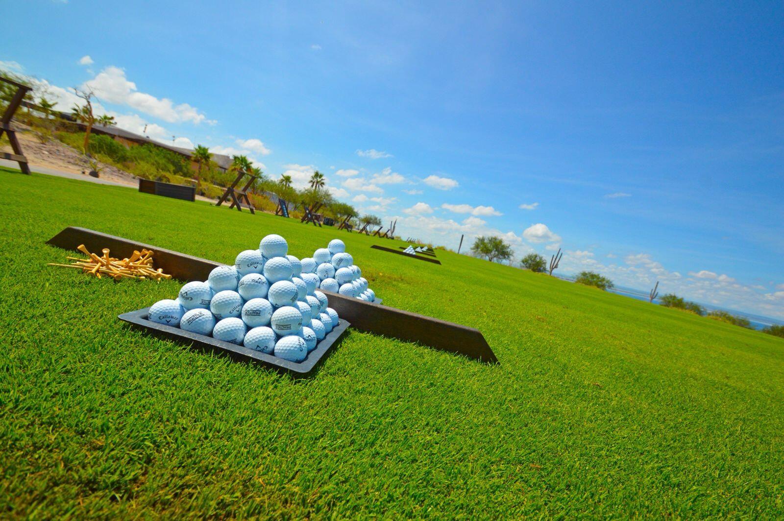 MLS #25-244 image #42