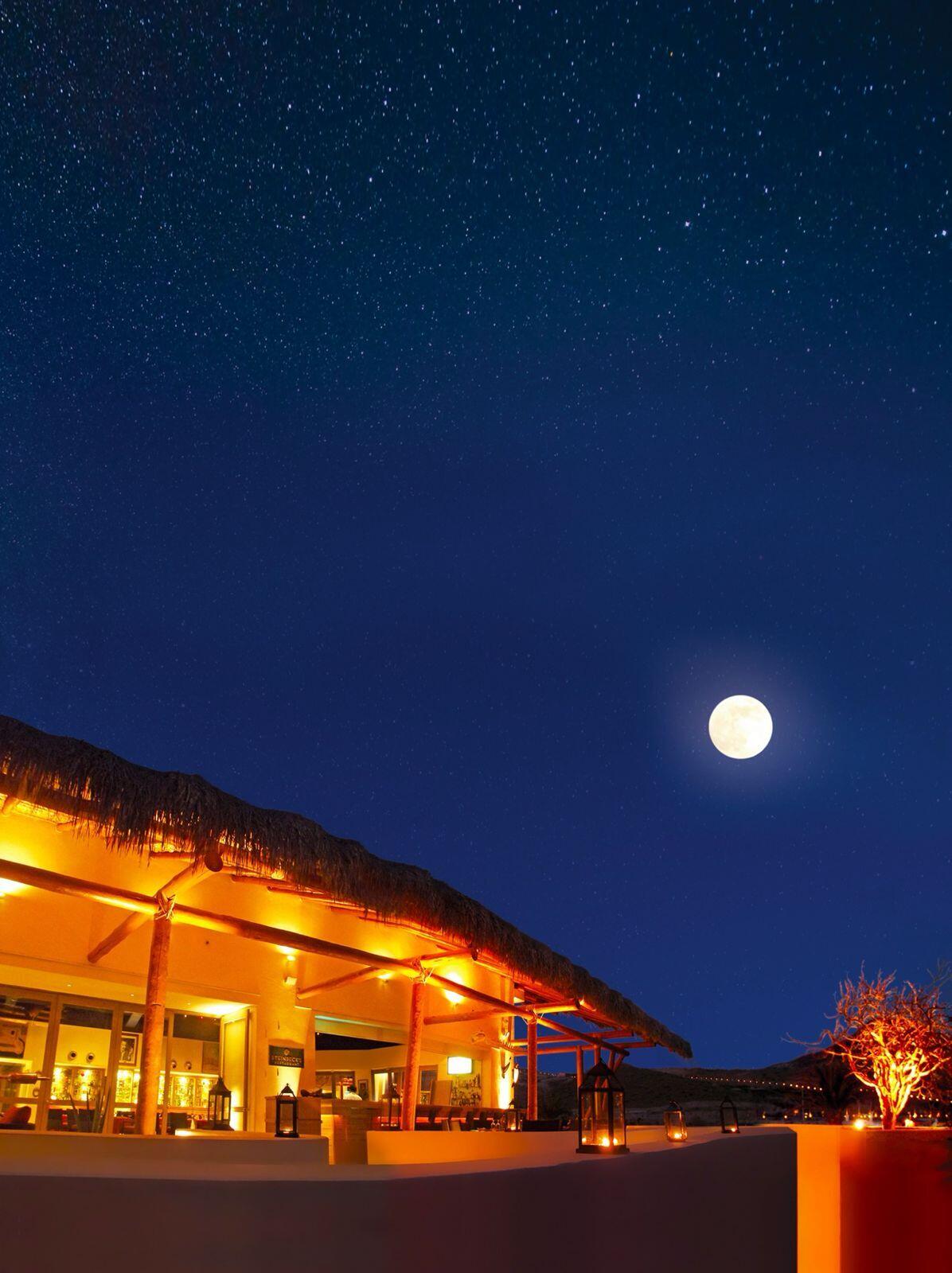 MLS #25-244 image #44