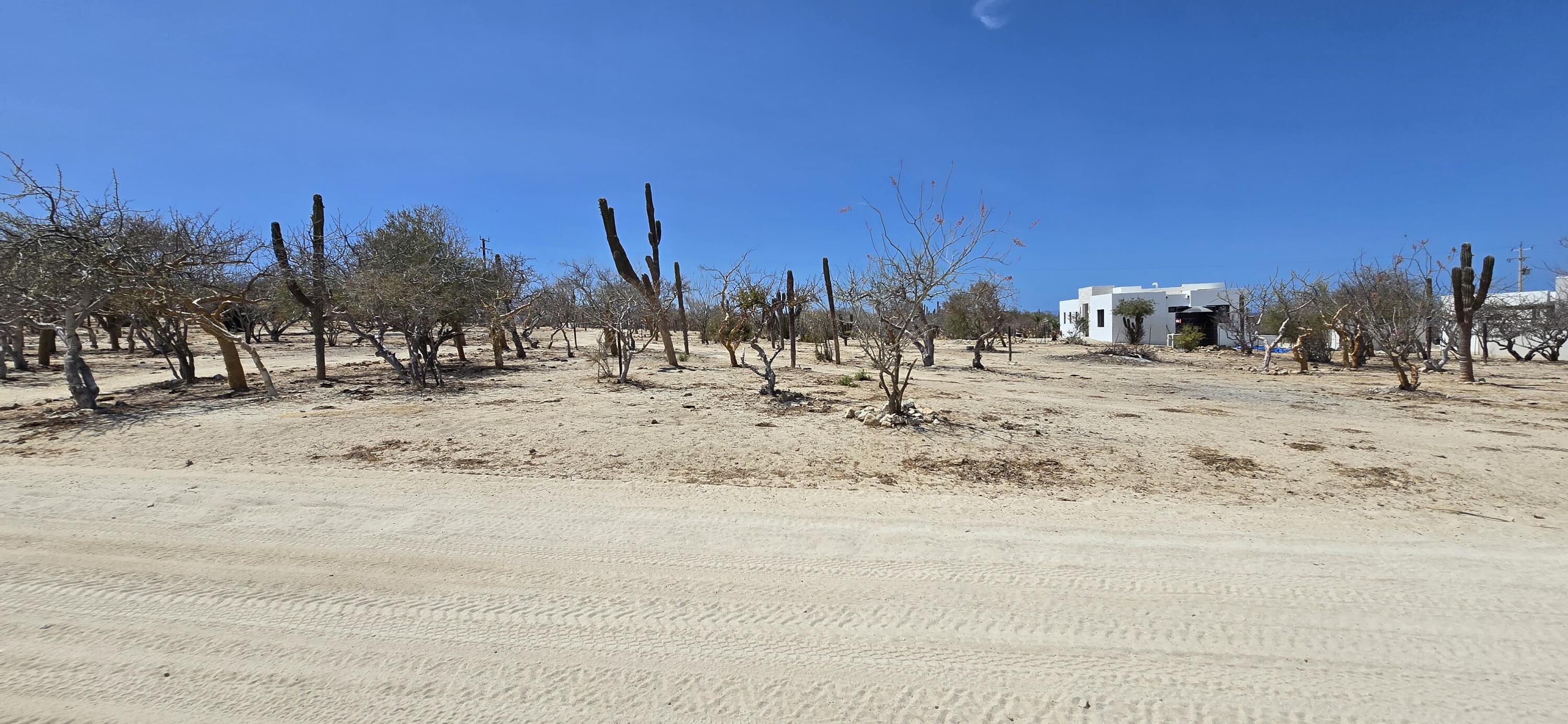 MLS #25-2453 image #4