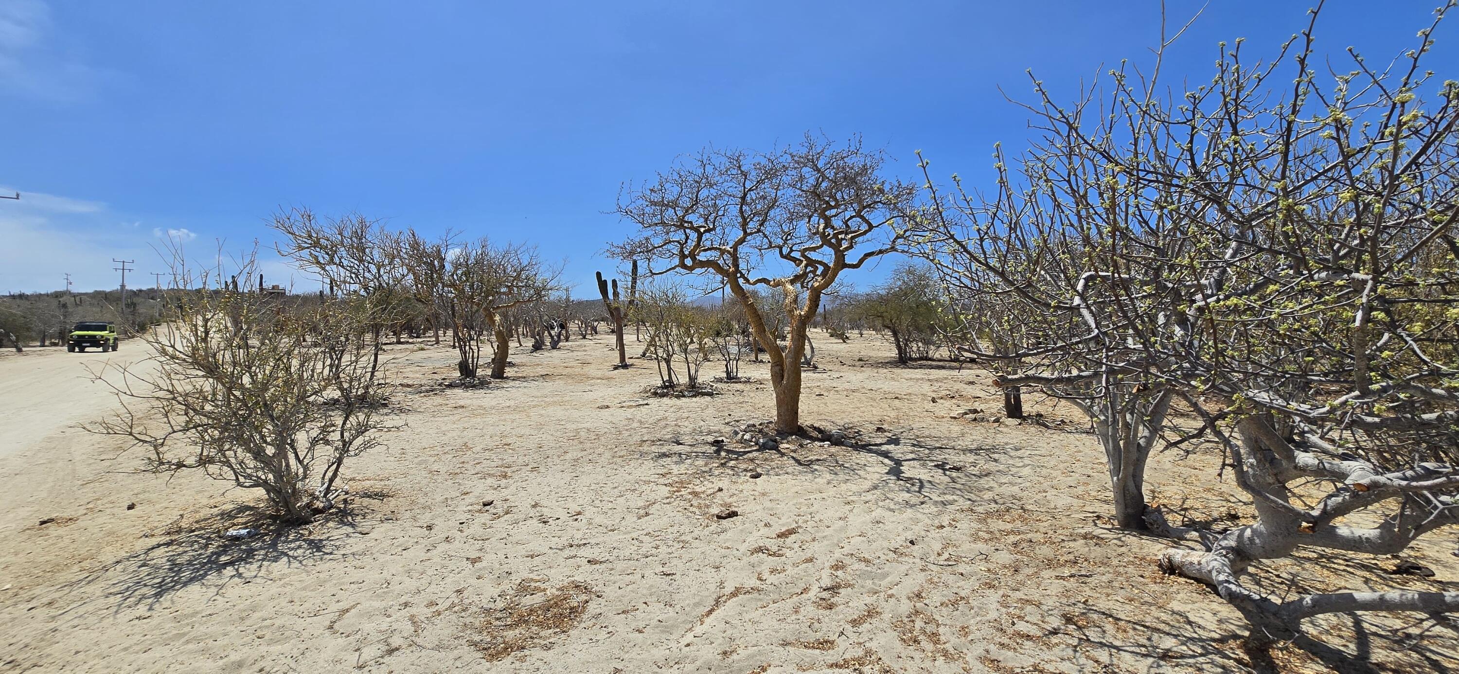 MLS #25-2453 image #5