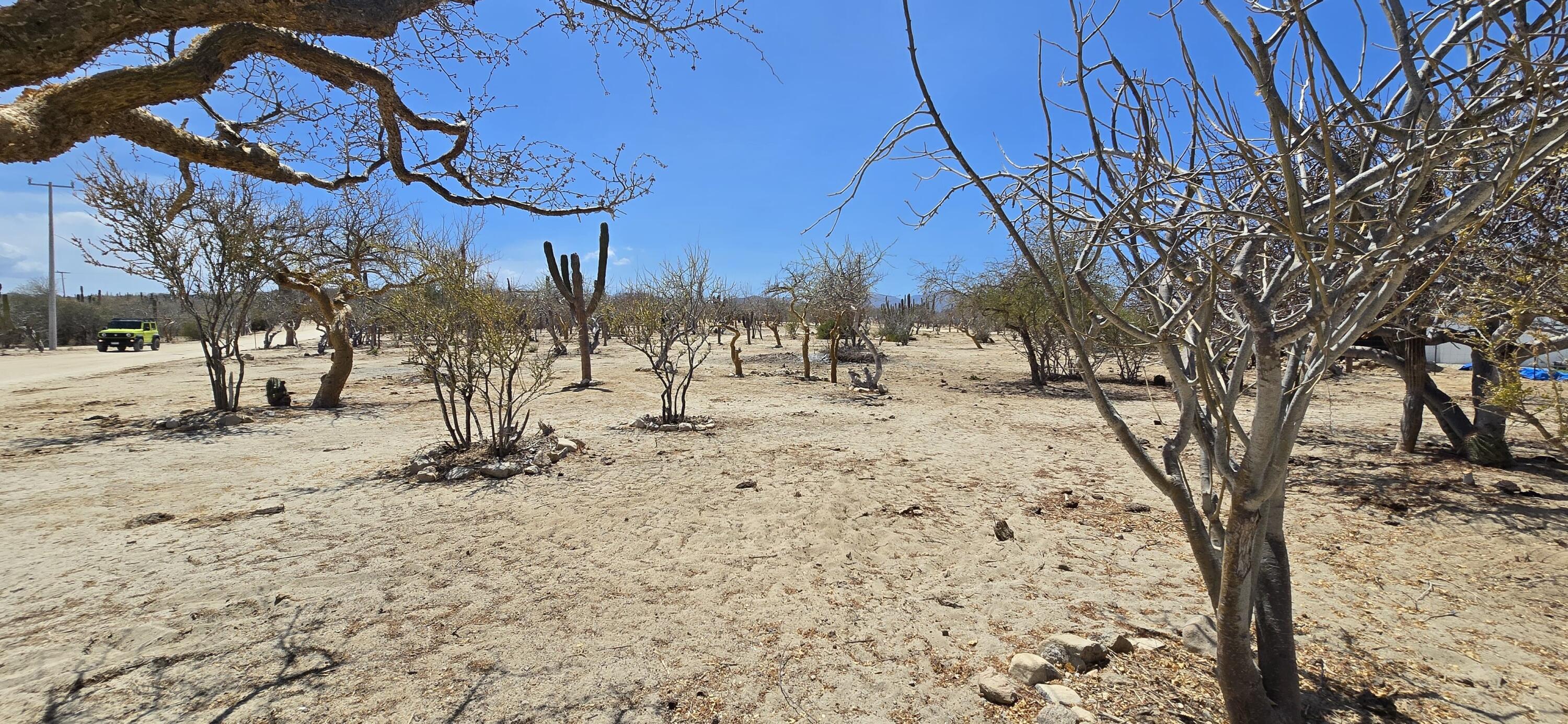 MLS #25-2453 image #6