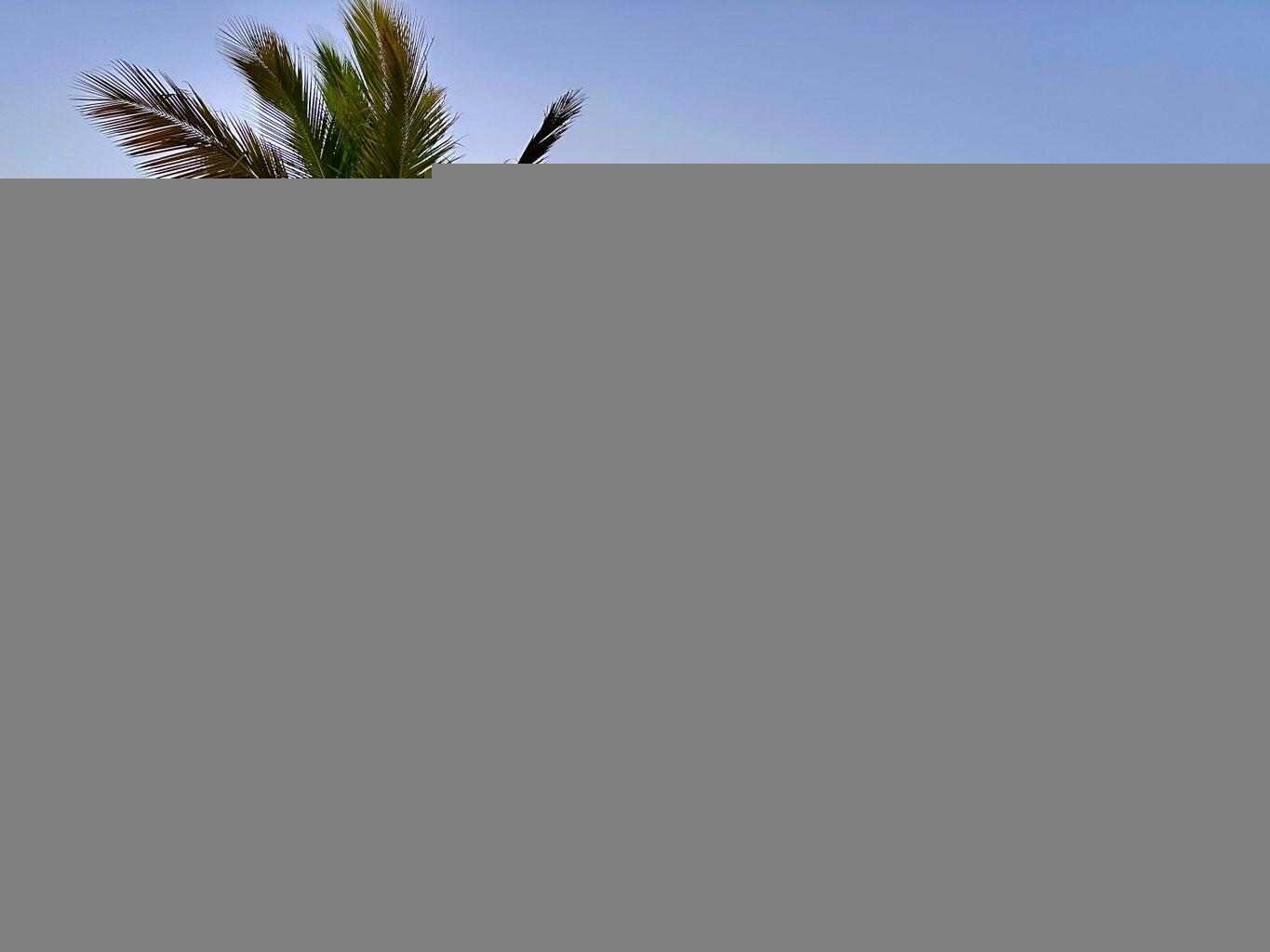 MLS #25-2500 image #0