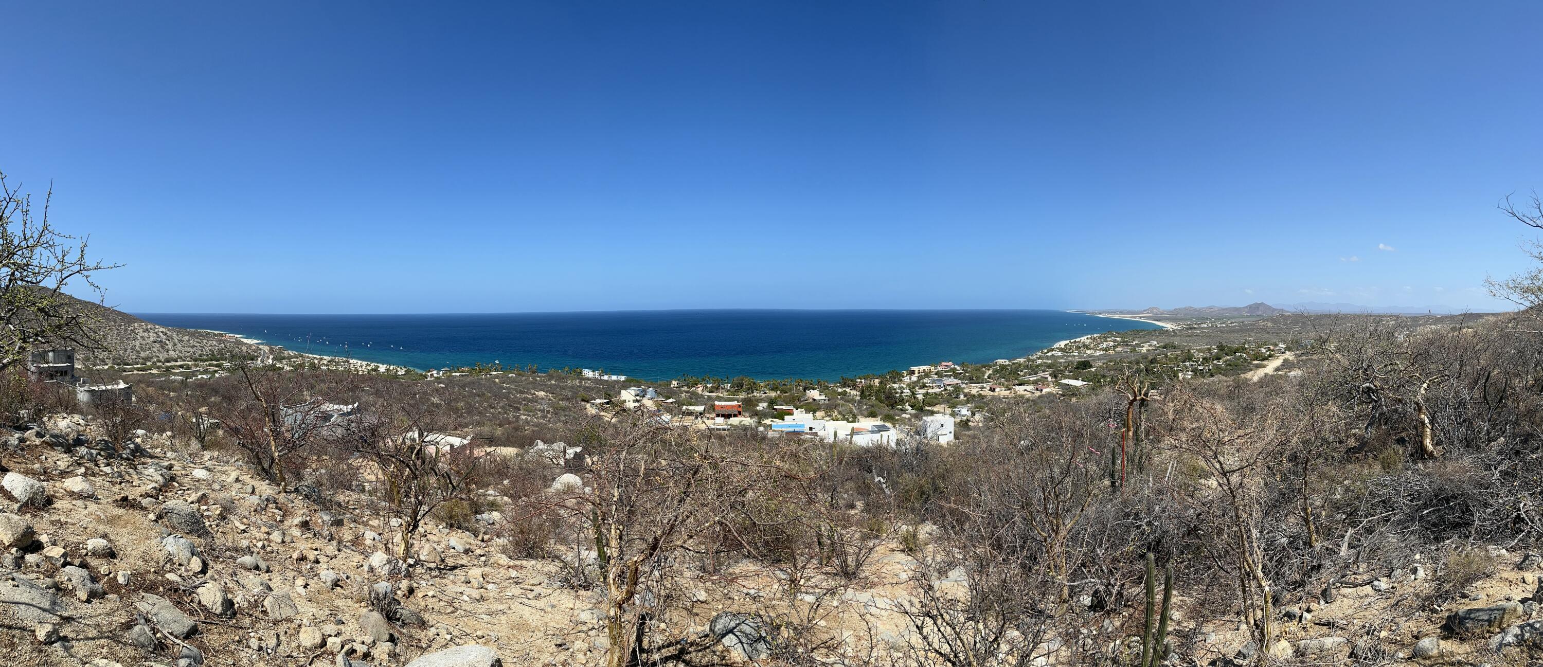 MLS #25-2528 image #4