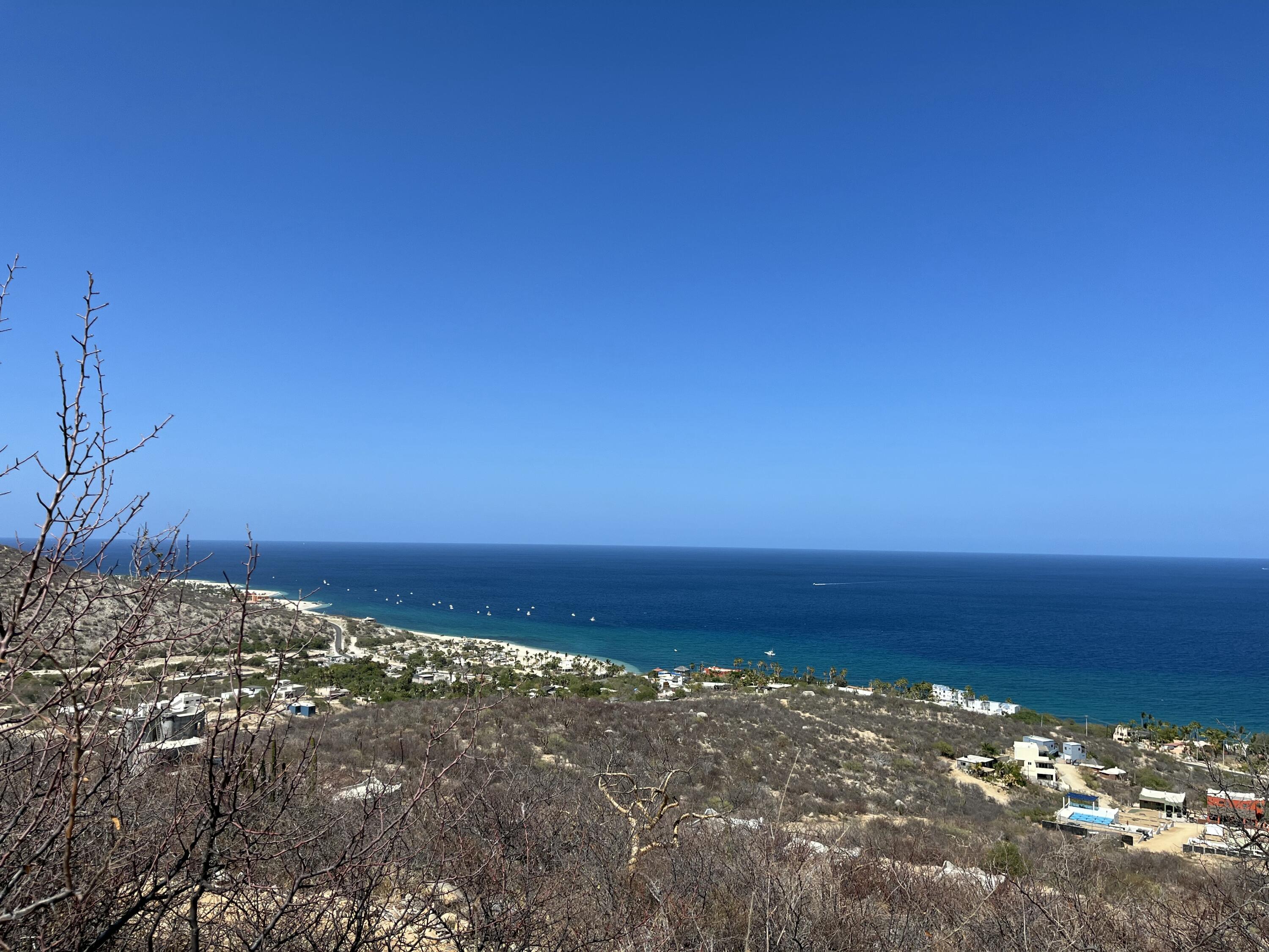 MLS #25-2528 image #6