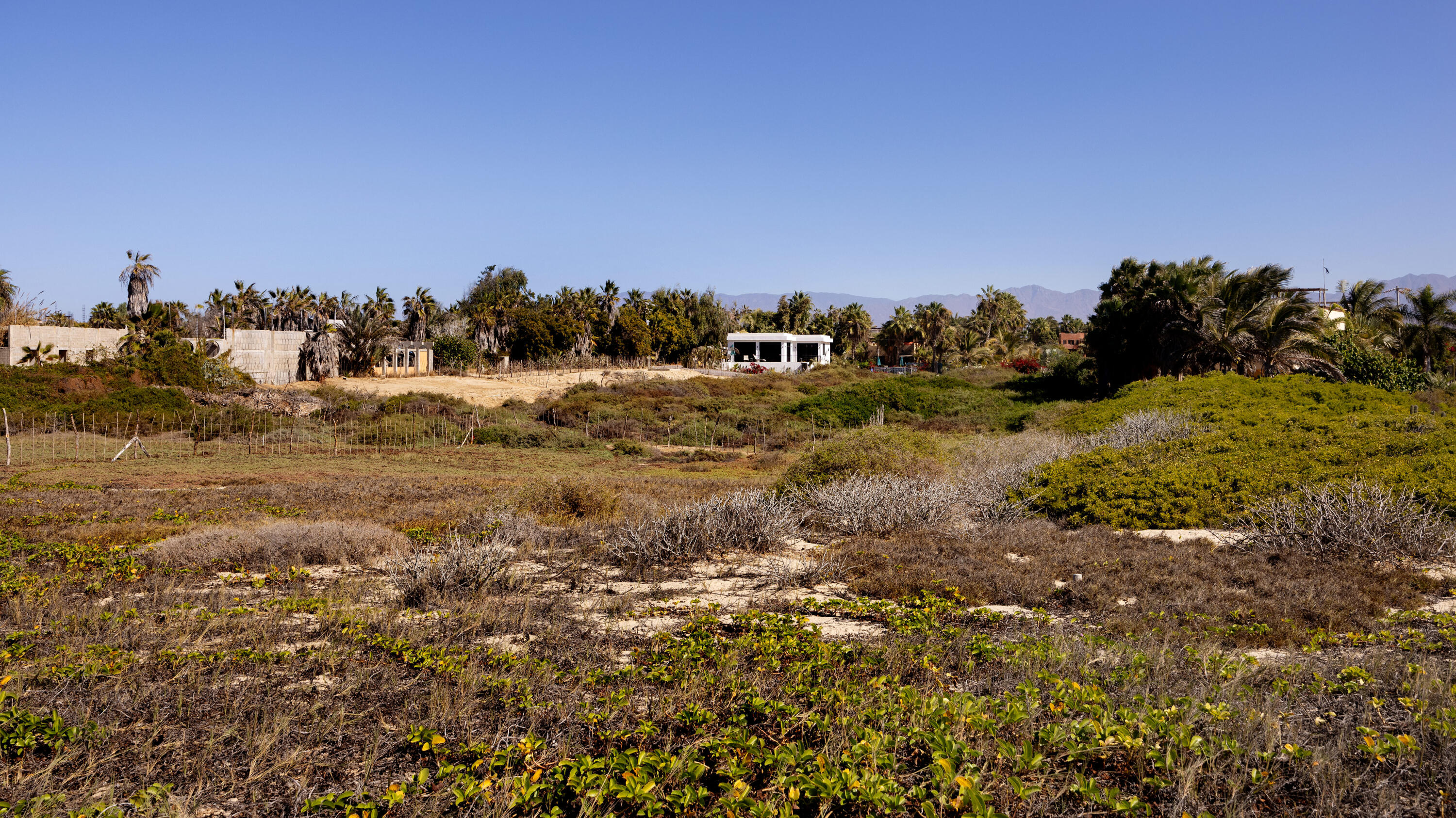 MLS #25-260 img 2