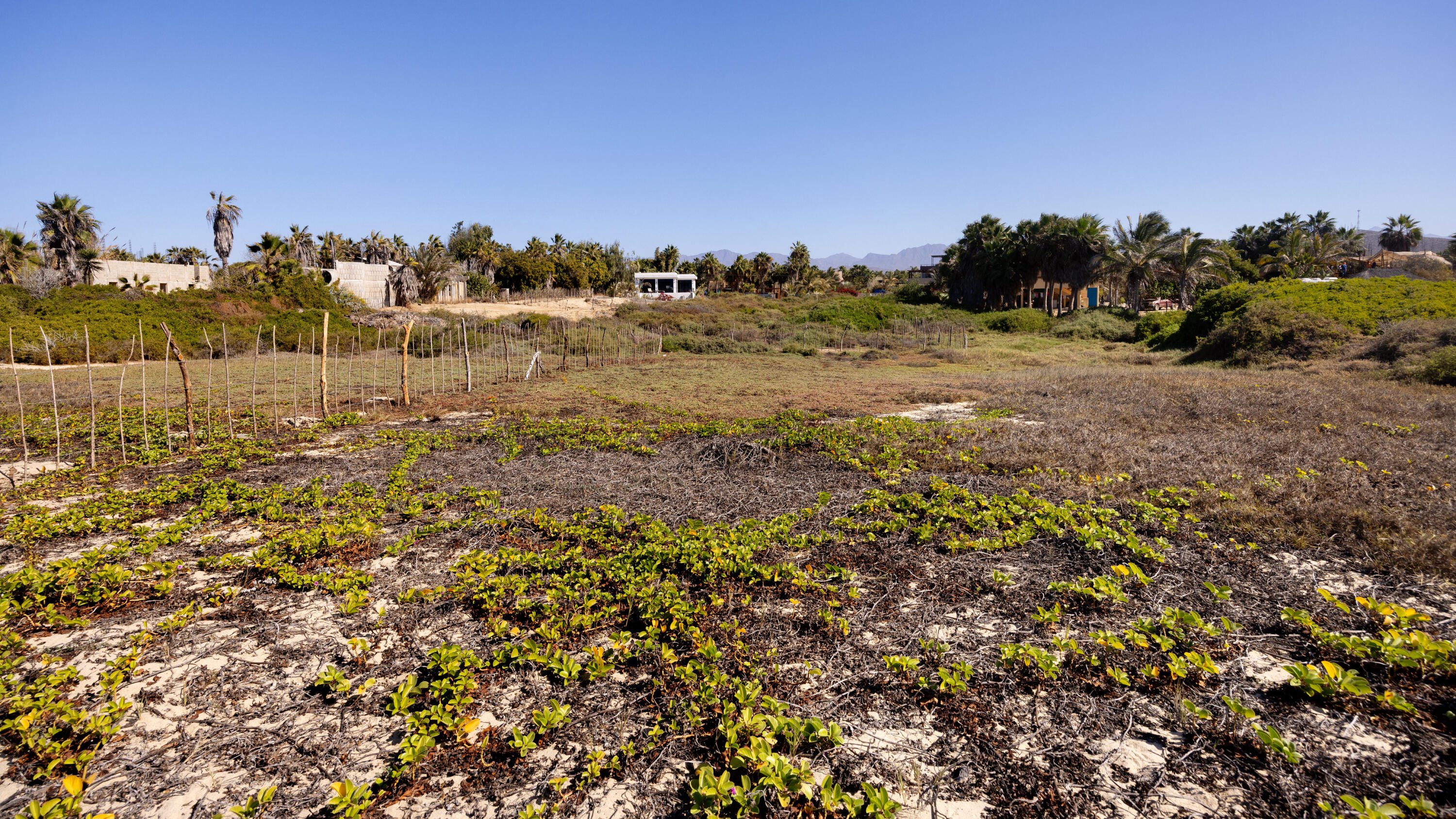 MLS #25-260 img 3