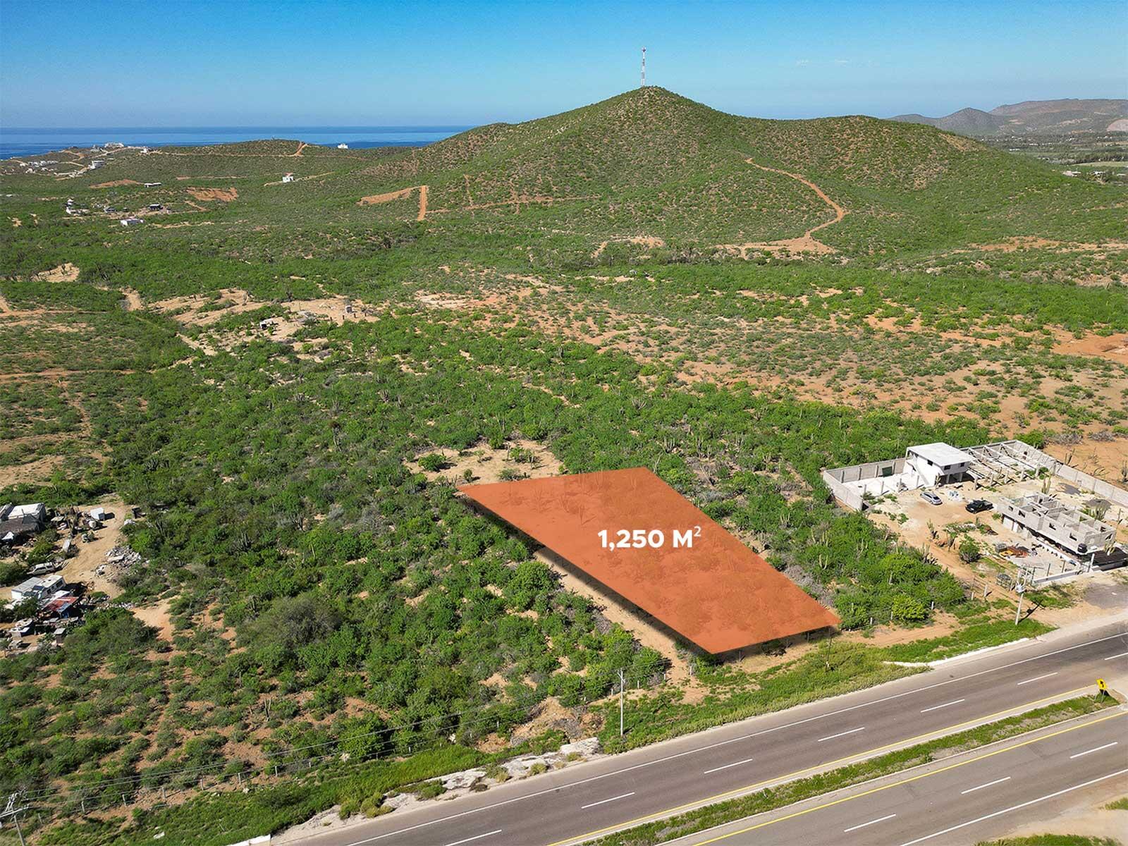 MLS #25-2619 image #1