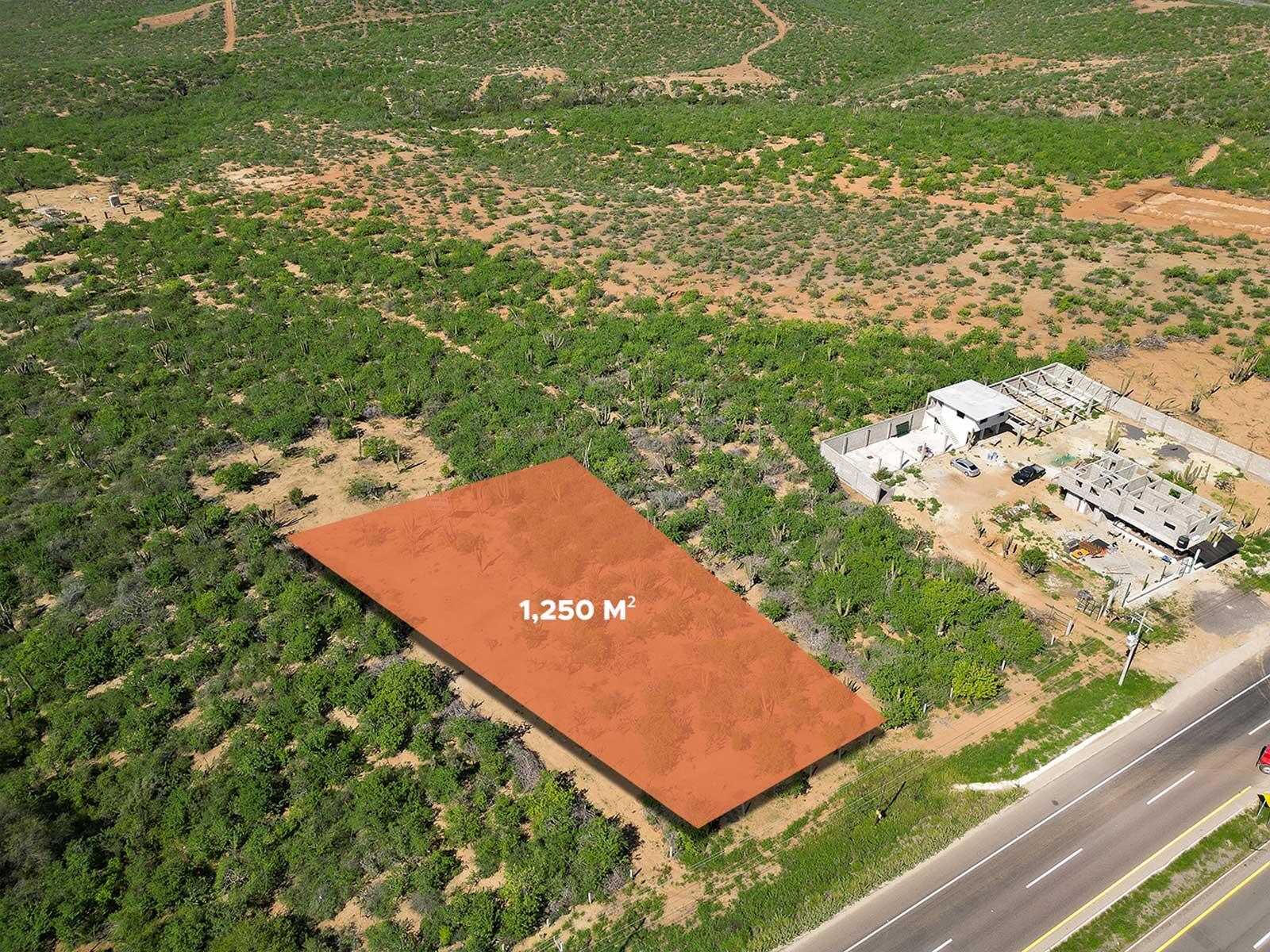 MLS #25-2619 image #3