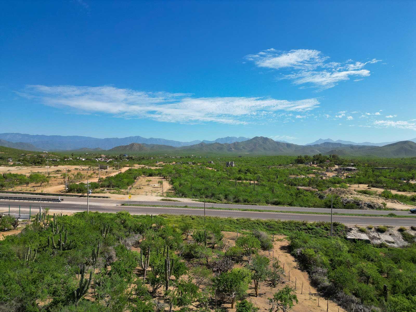 MLS #25-2619 image #4