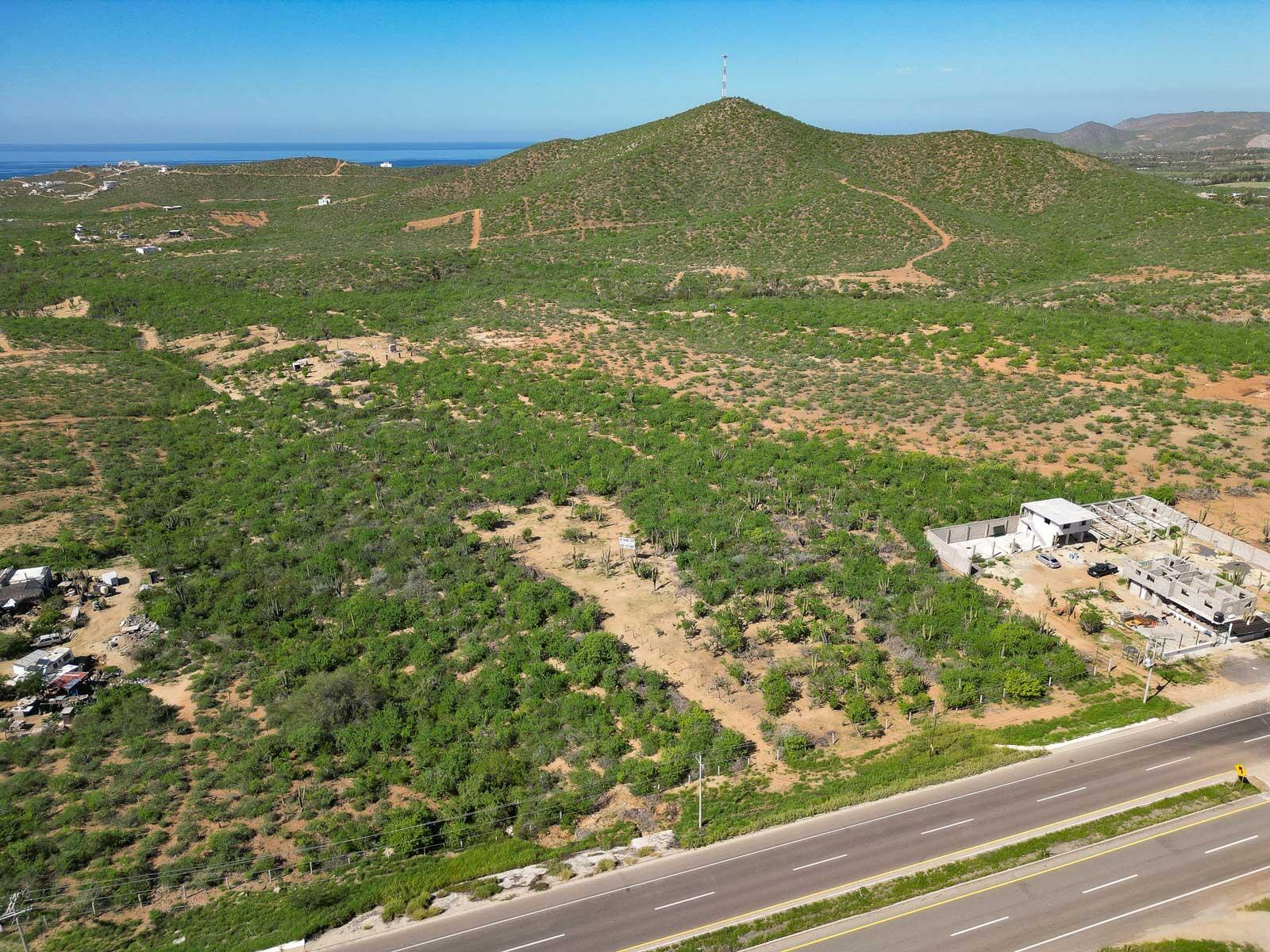 MLS #25-2619 image #5