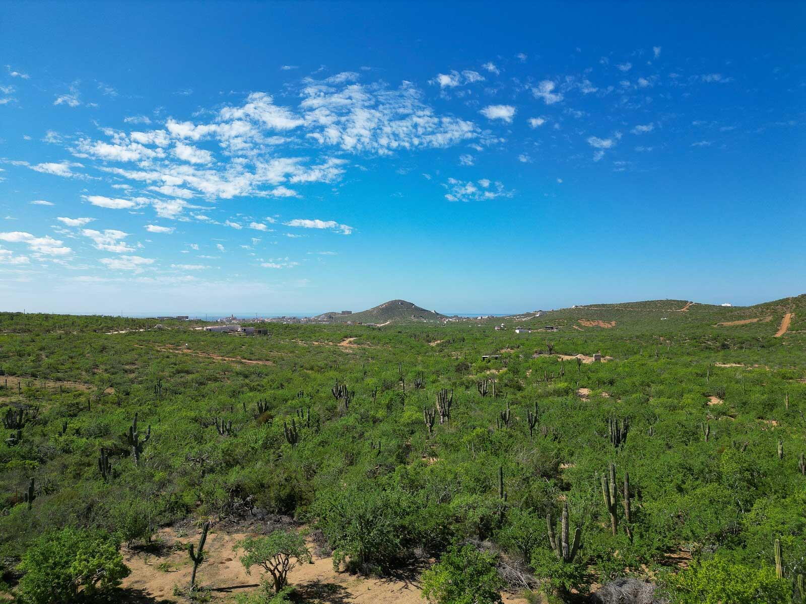 MLS #25-2619 image #7