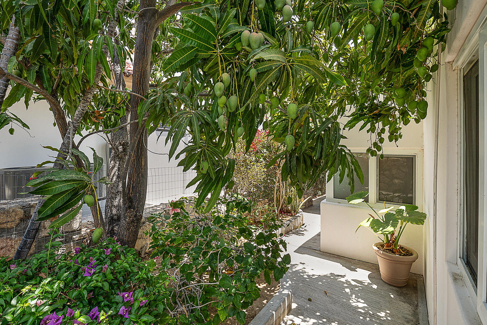 MLS #25-2627 image #14