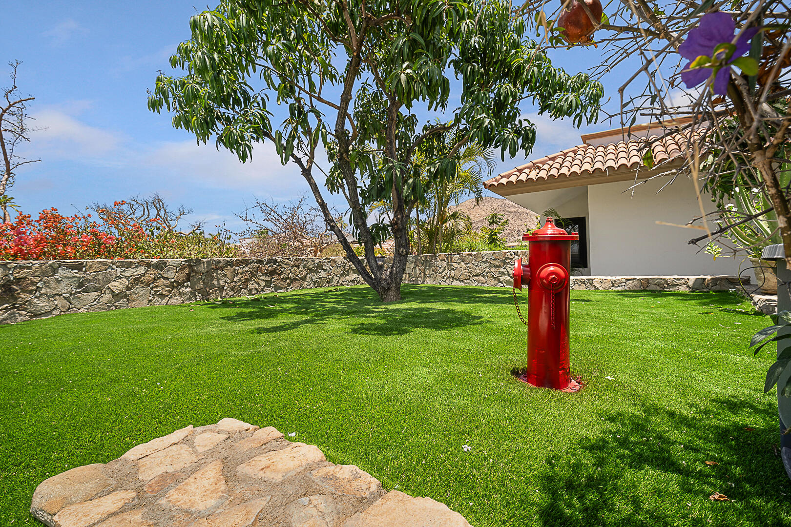 MLS #25-2627 image #16