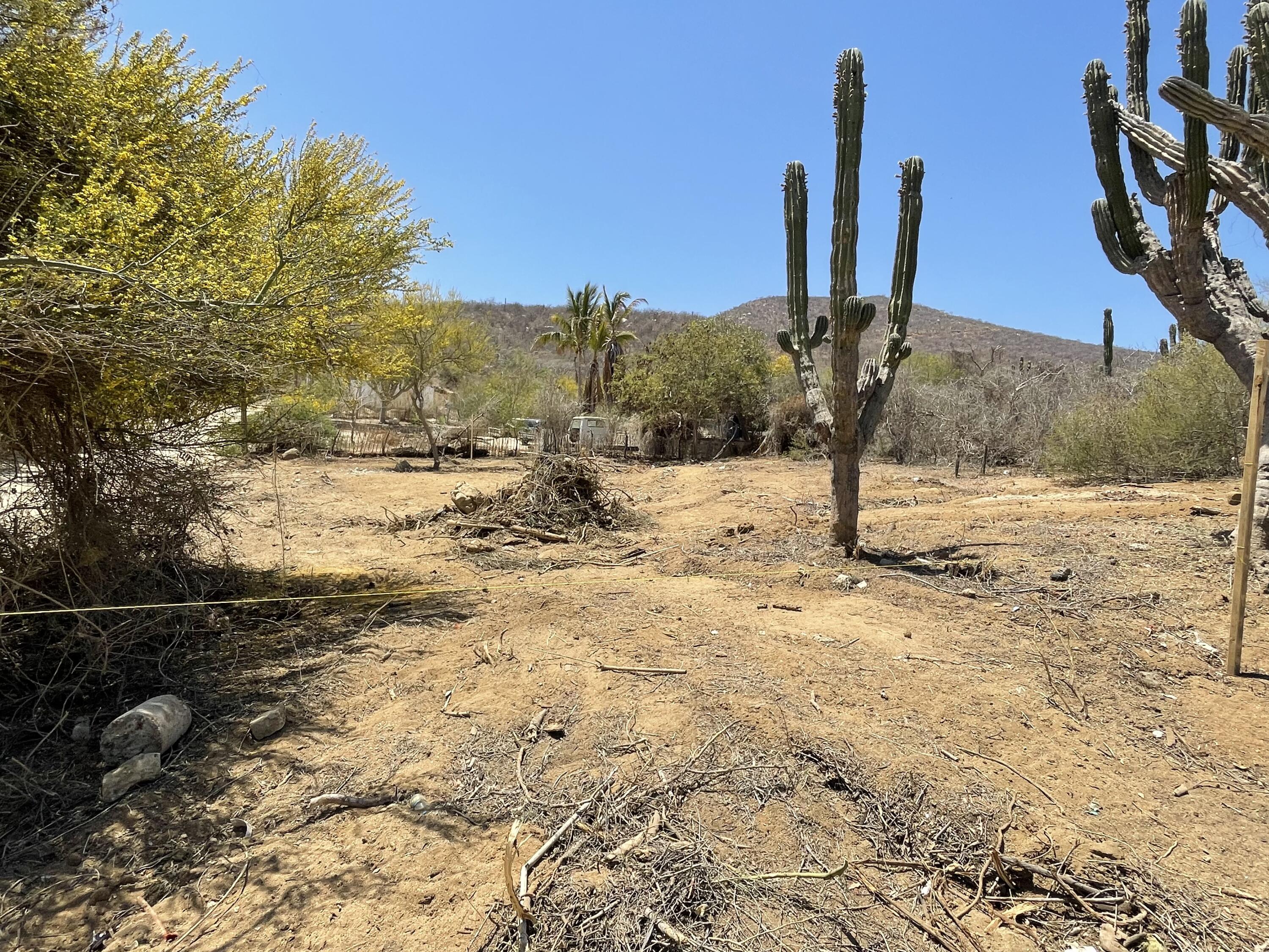 MLS #25-2647 image #1