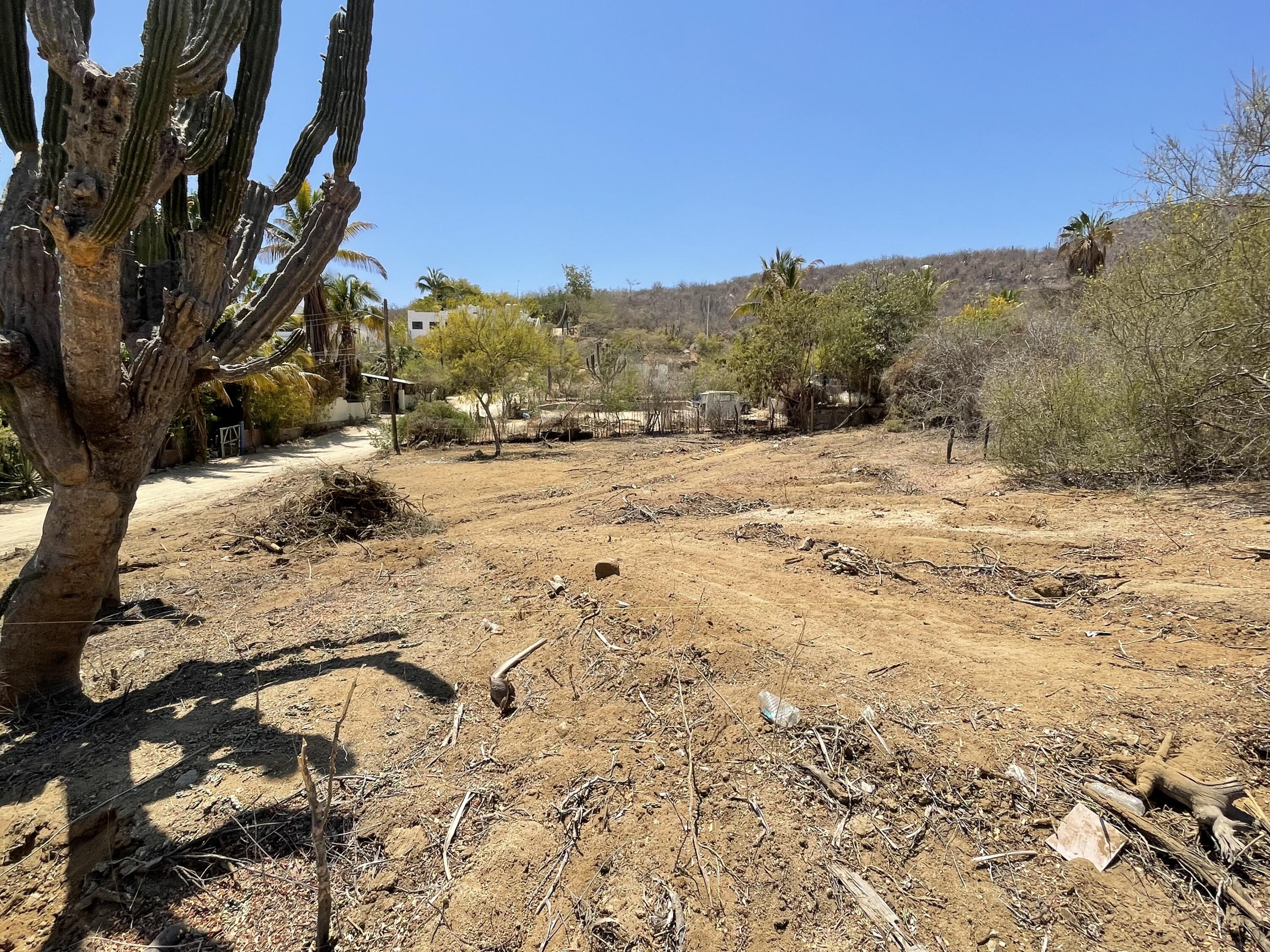 MLS #25-2647 image #5