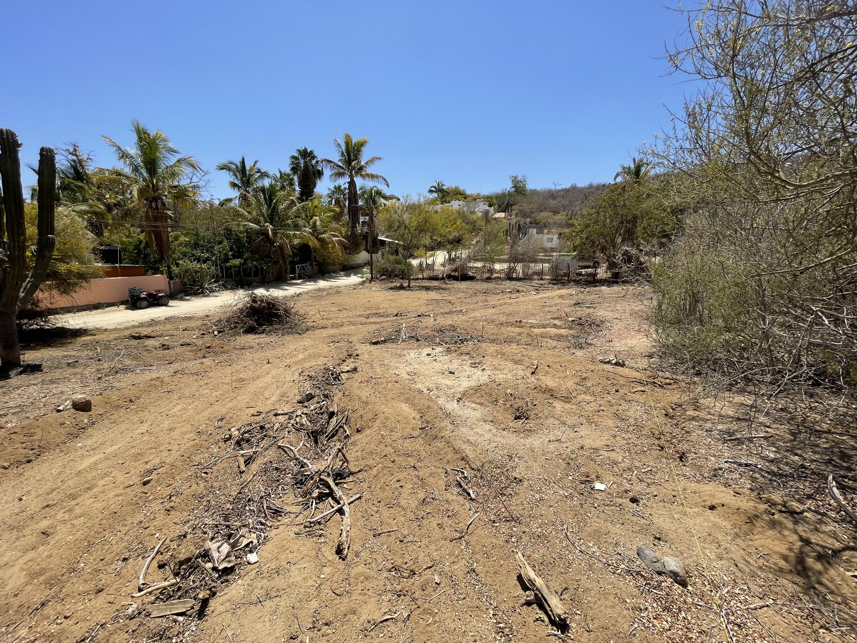 MLS #25-2647 image #6