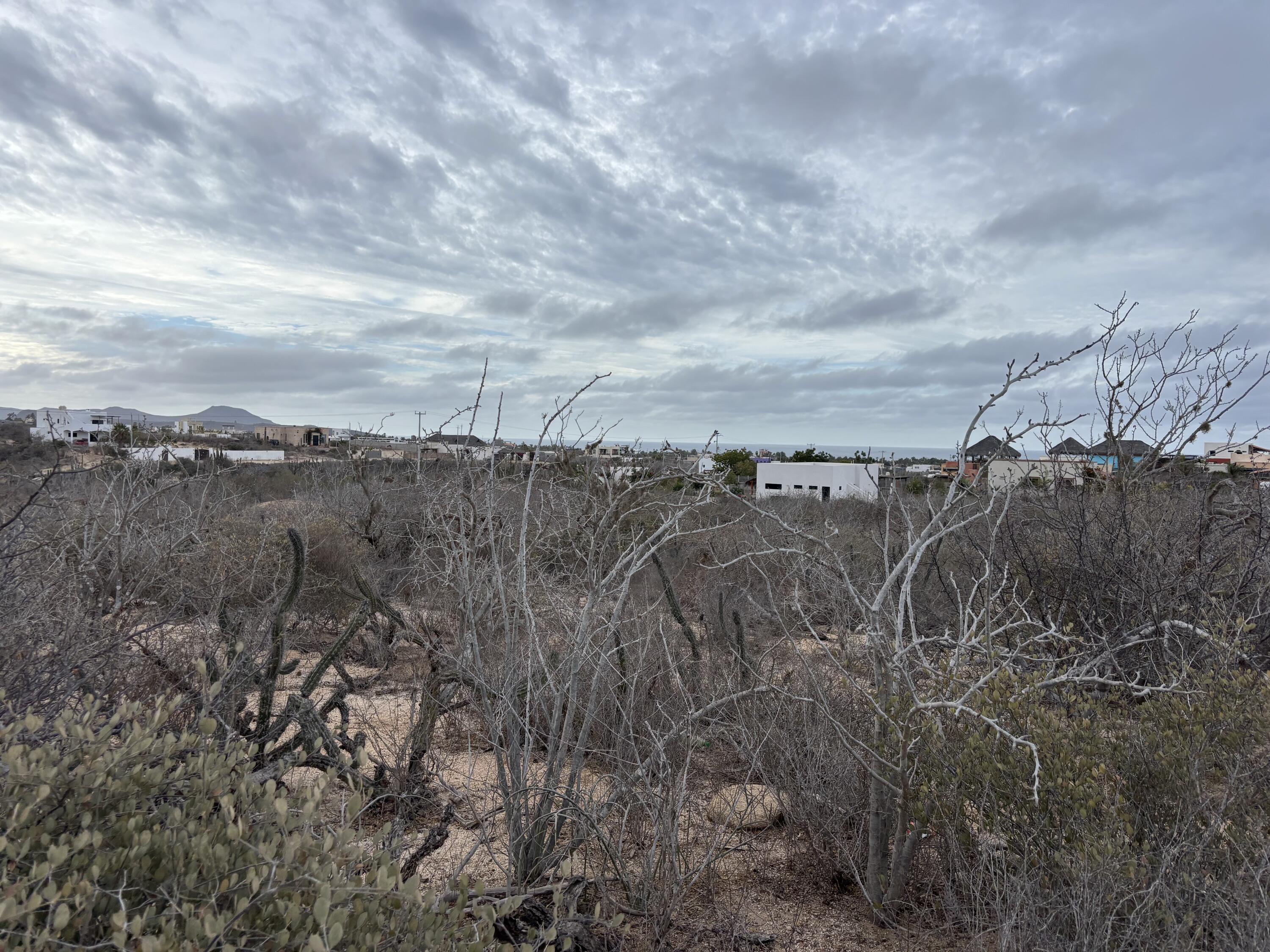 MLS #25-265 img 1