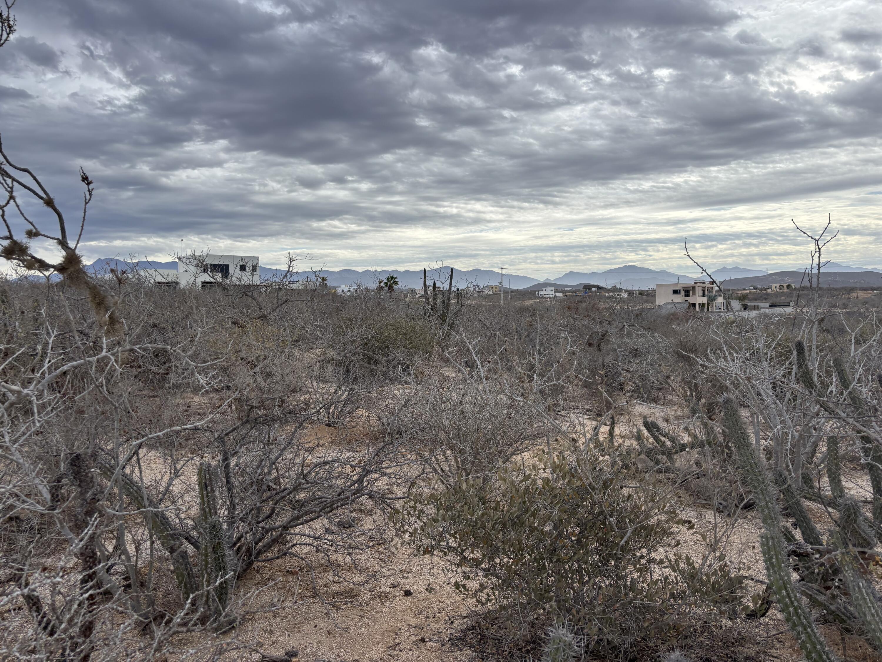 MLS #25-265 img 6