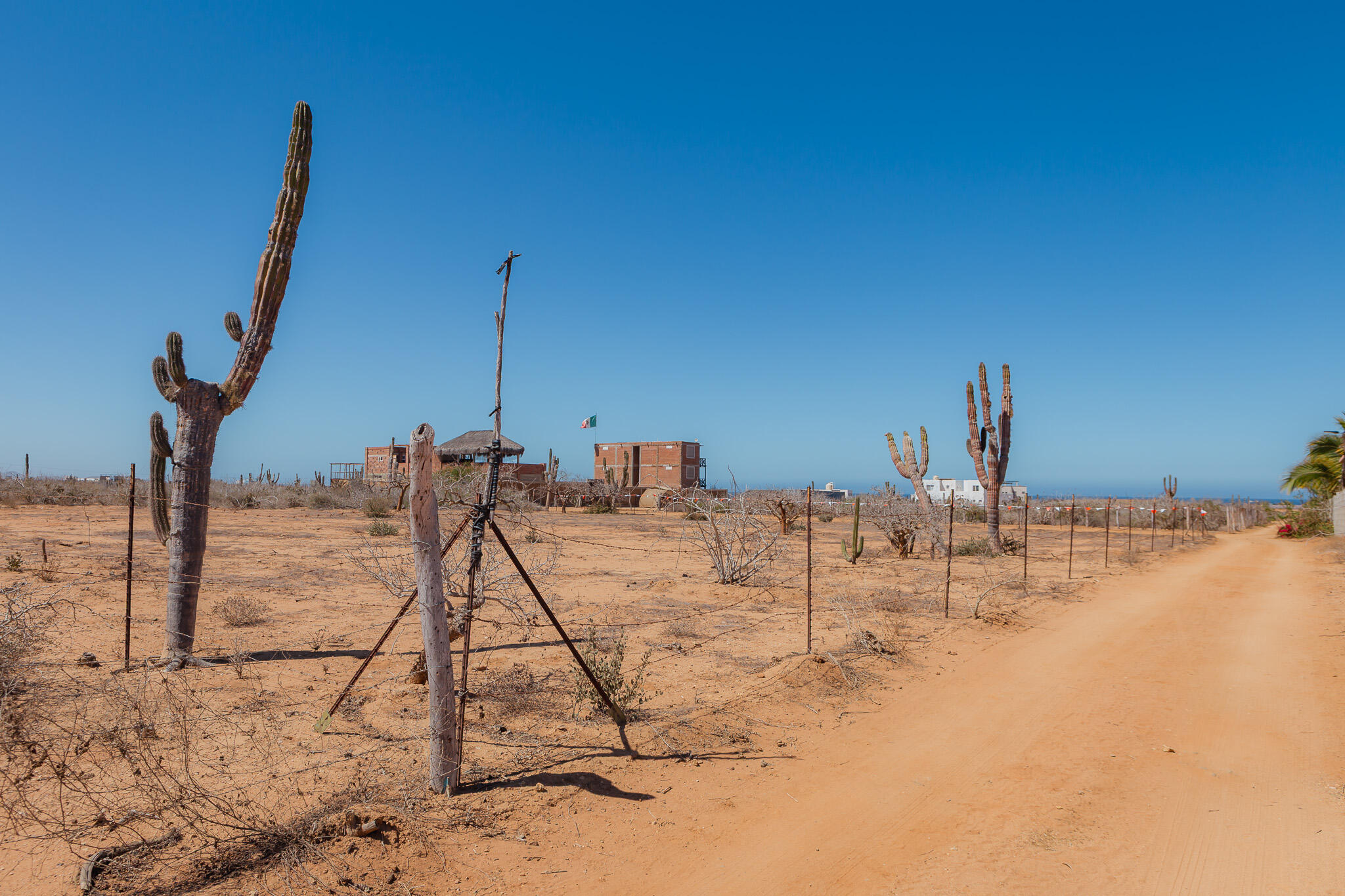 MLS #25-2689 image #10