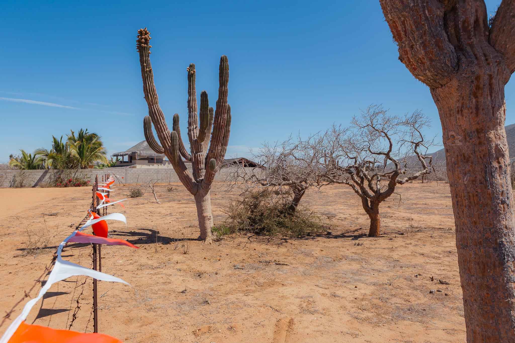 MLS #25-2689 image #11