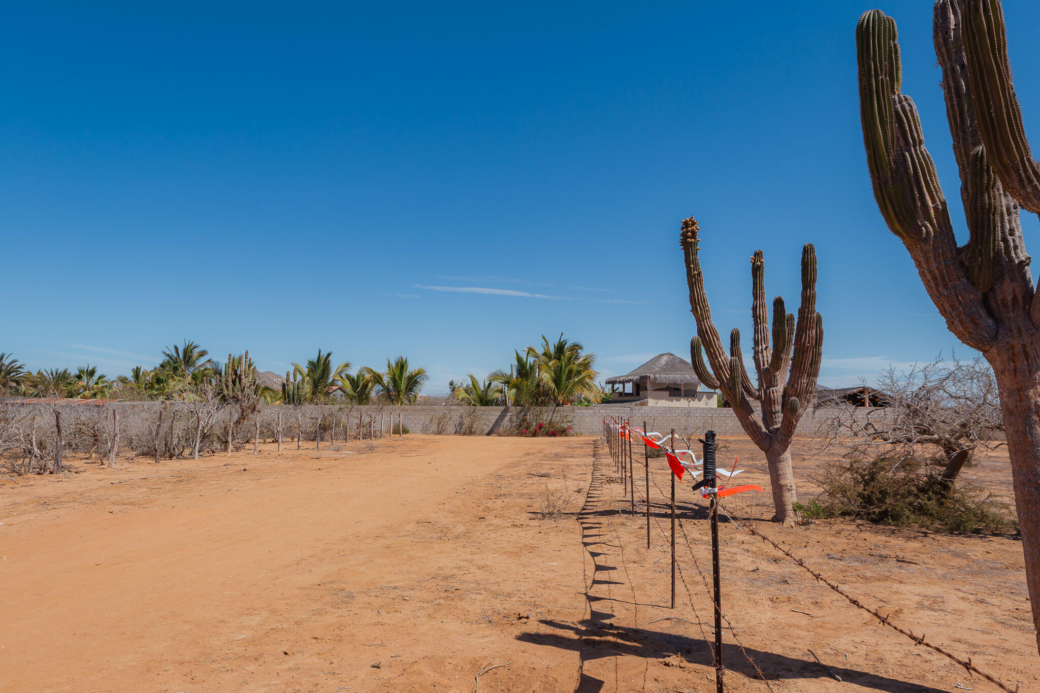 MLS #25-2689 image #12