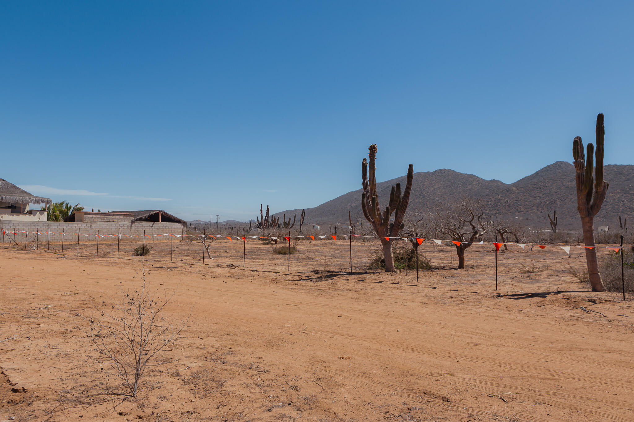 MLS #25-2689 image #8