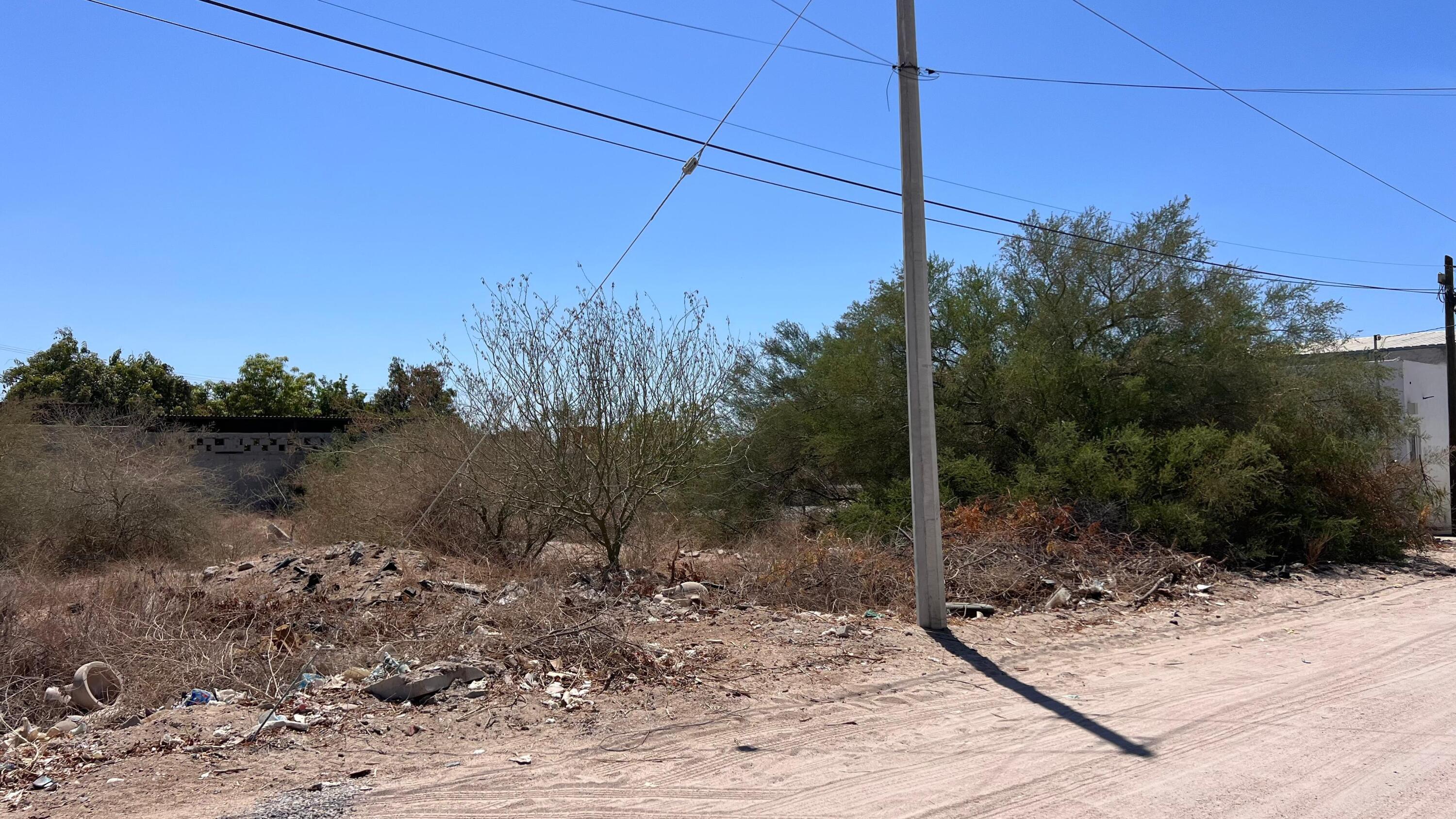 MLS #25-2700 image #4