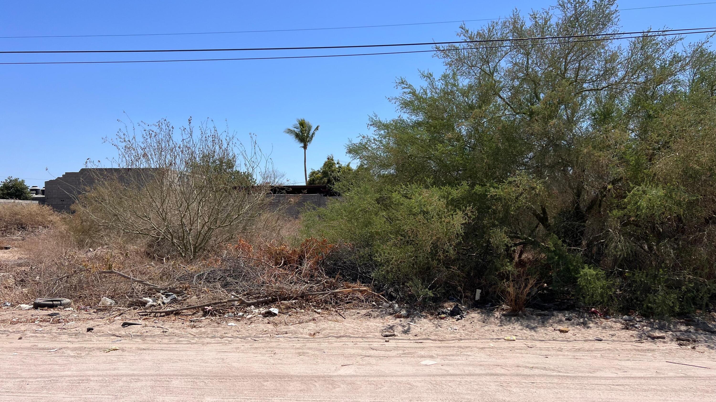 MLS #25-2700 image #5