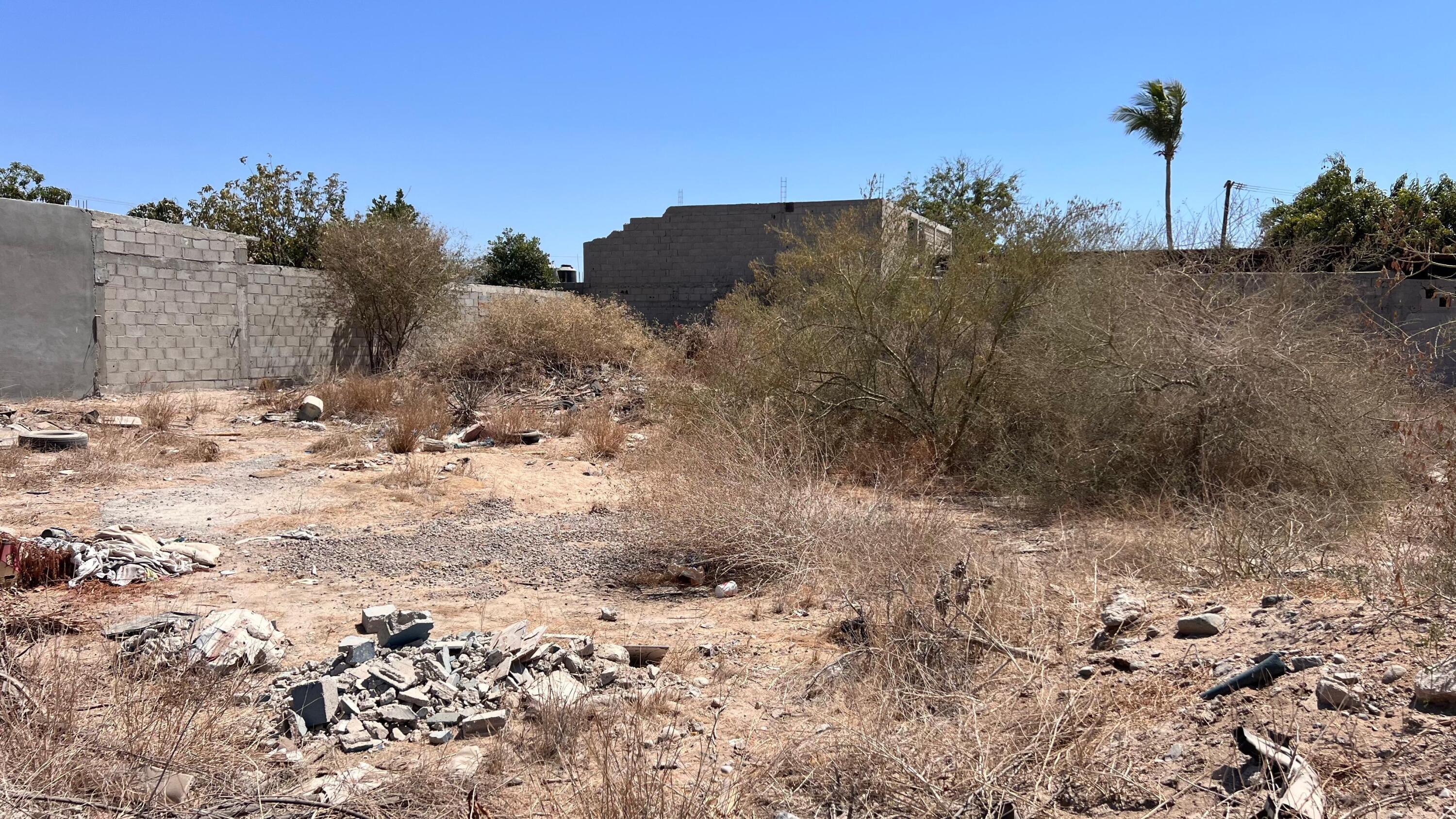 MLS #25-2700 image #6