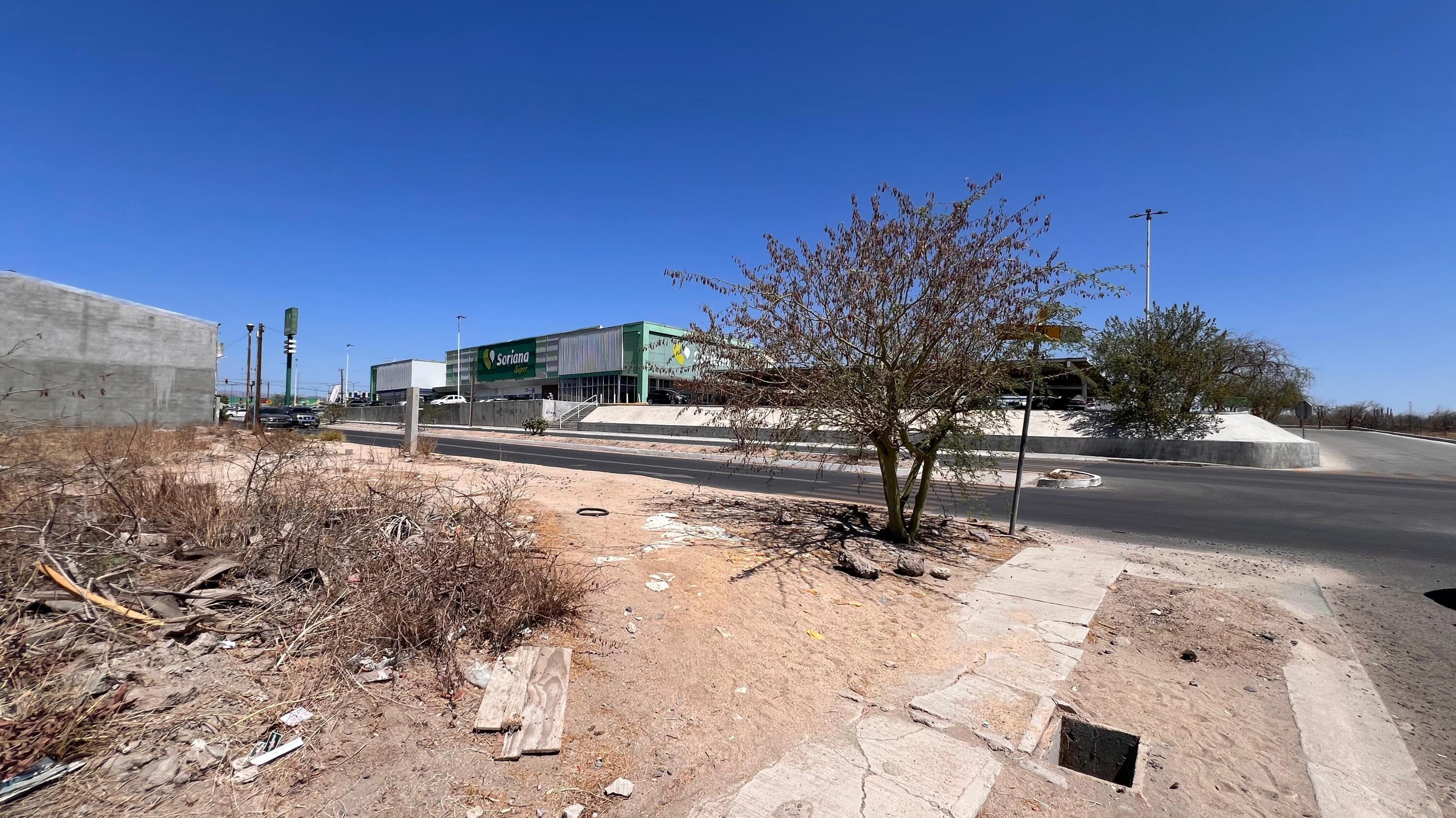 MLS #25-2701 img 2