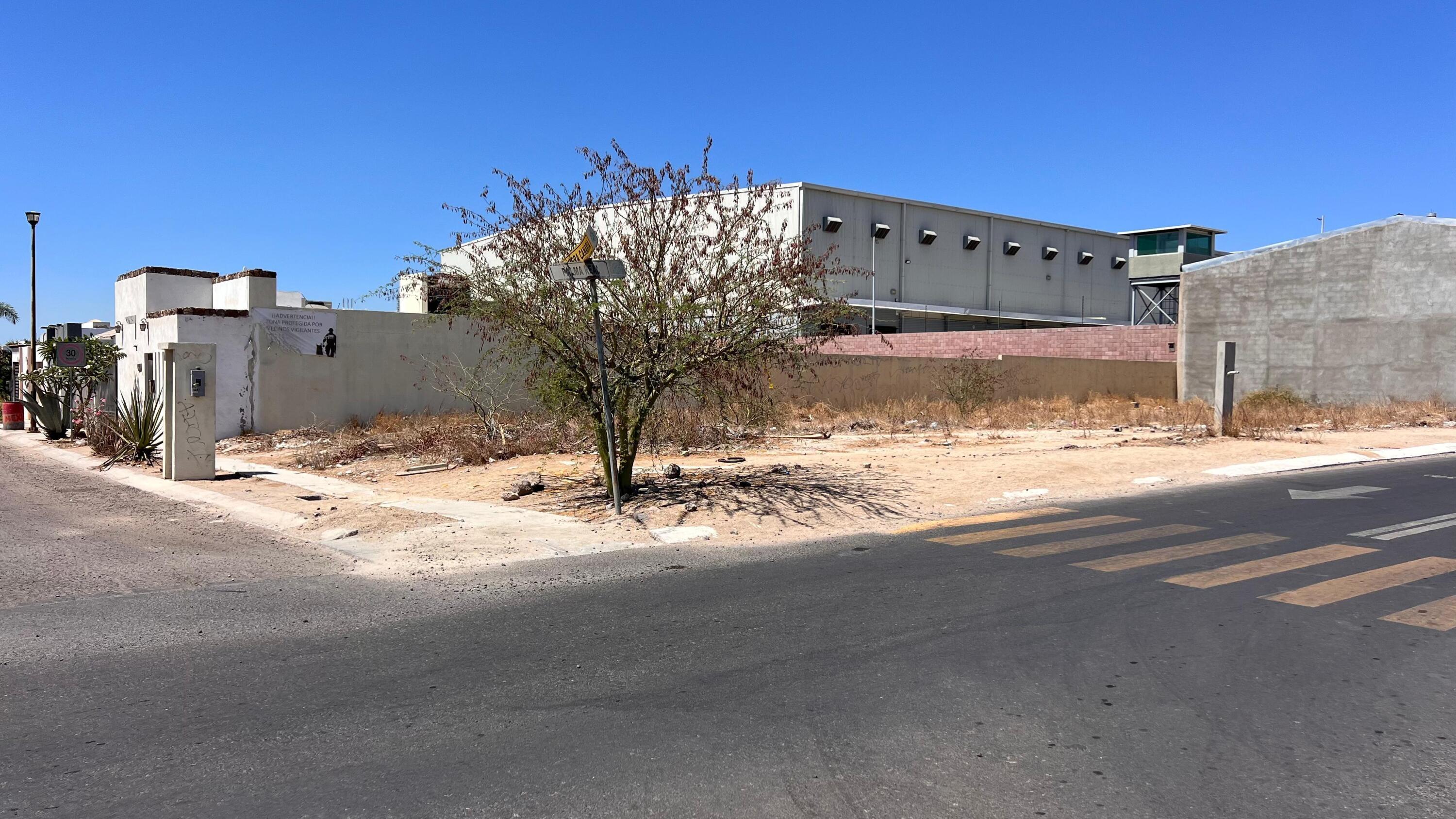 MLS #25-2701 img 6