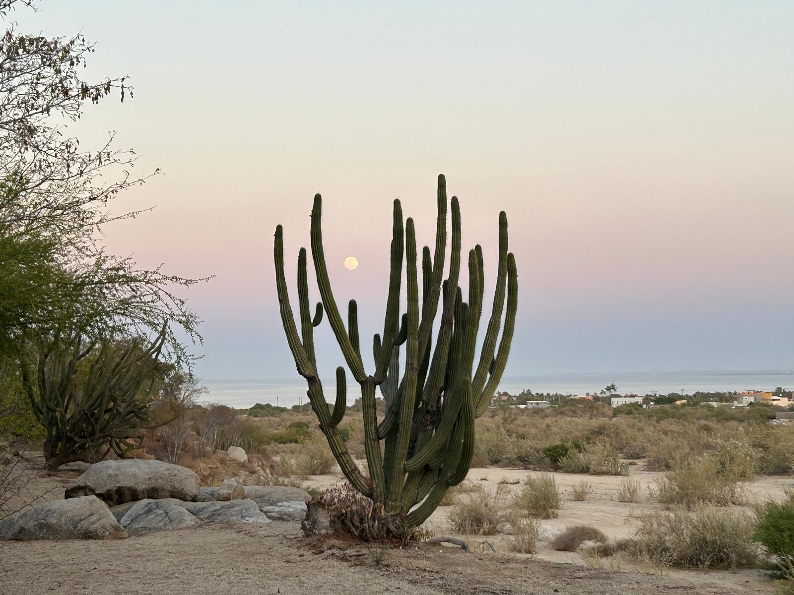 MLS #25-2714 image #23