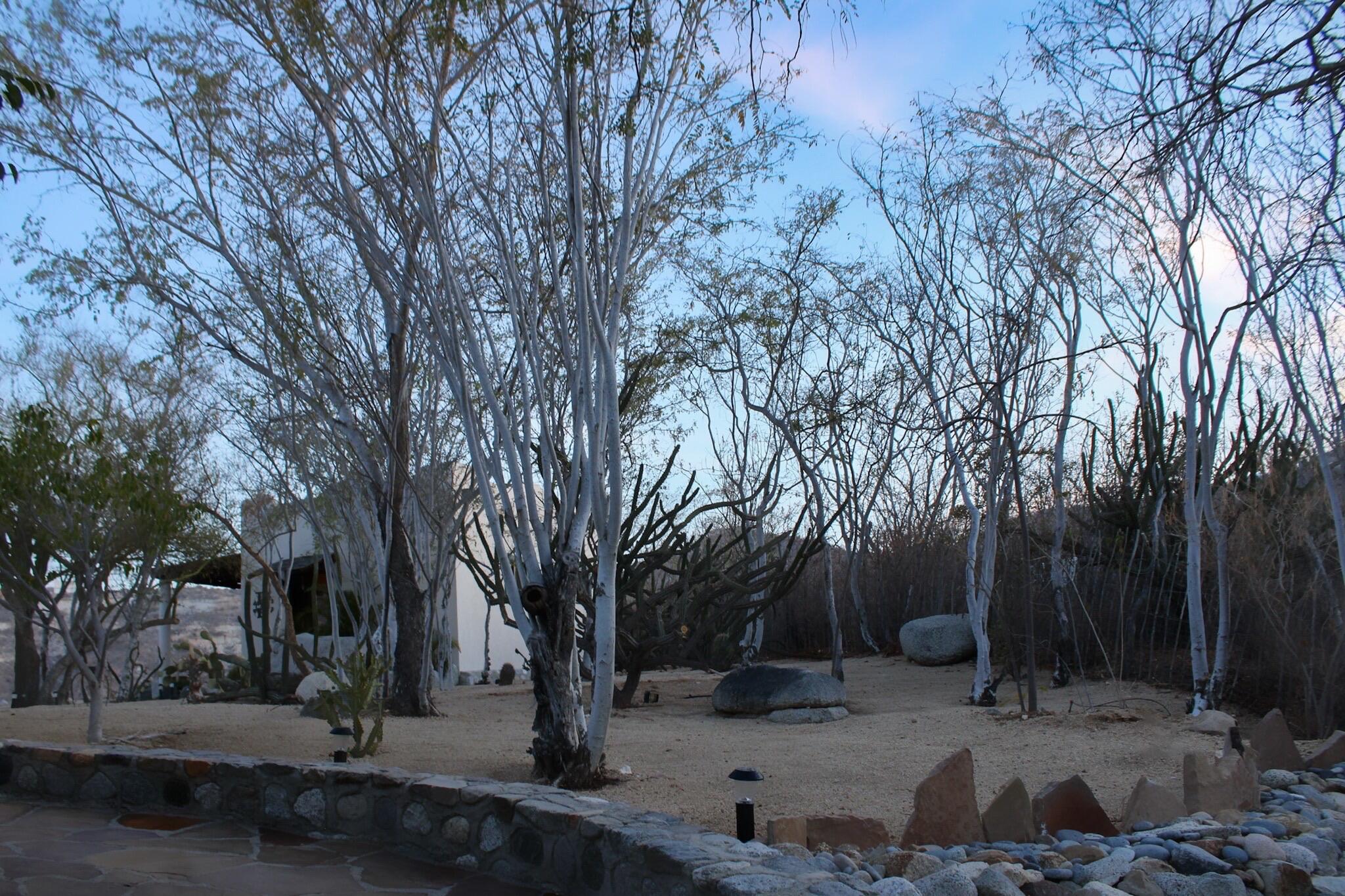 MLS #25-2714 image #26