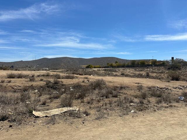 MLS #25-2784 image #16