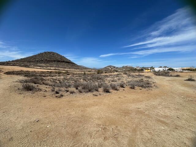 MLS #25-2784 image #18