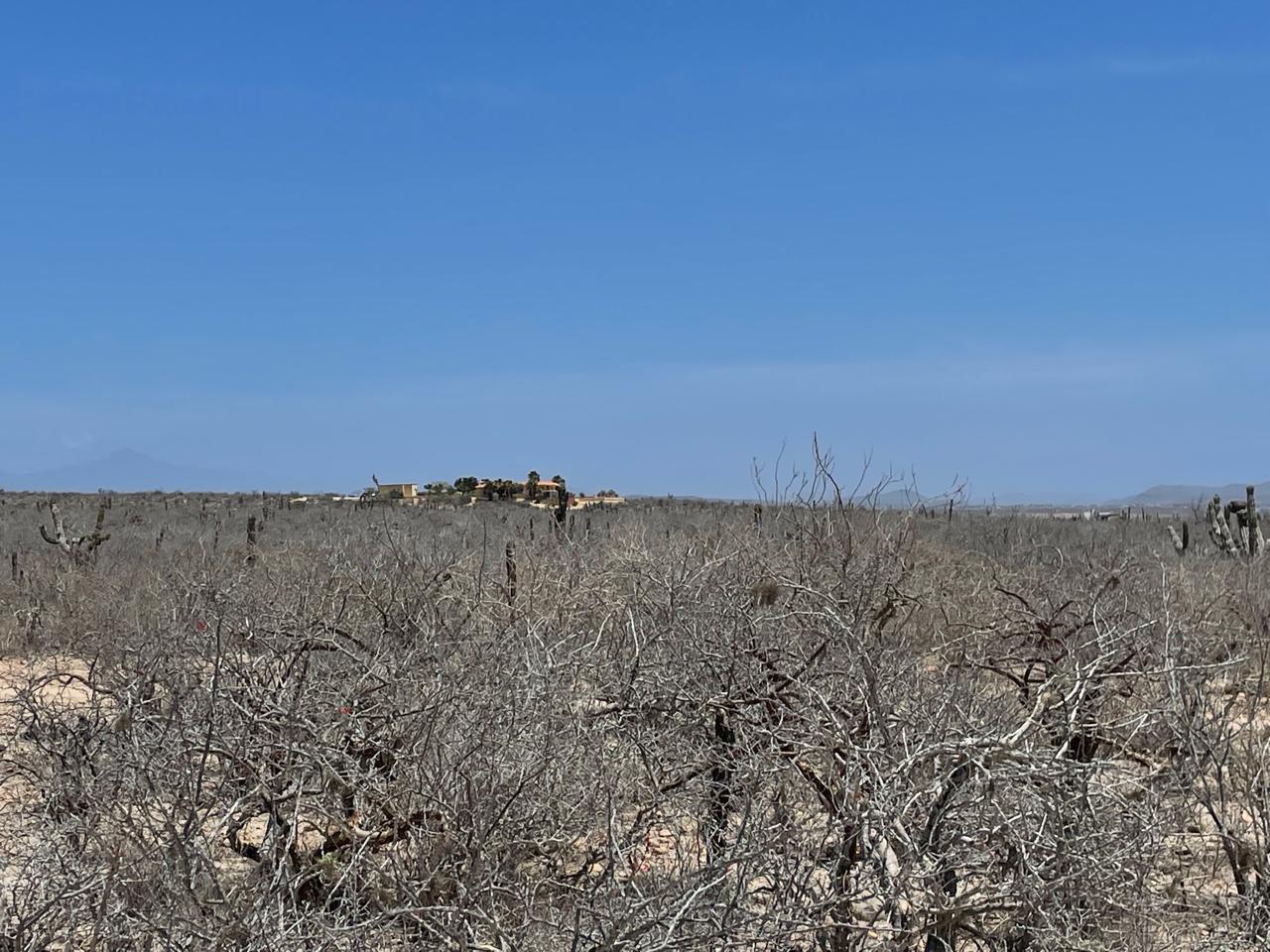 LAND LAS PLAYITAS Pacific BCS MLS #25-2831 41 MLS #25-2831 image #2