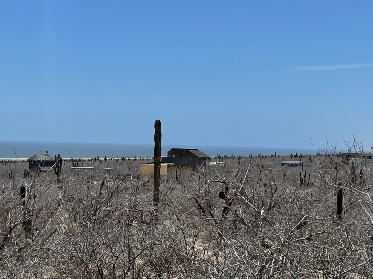 LAND LAS PLAYITAS Pacific BCS MLS #25-2831 42 MLS #25-2831 image #3