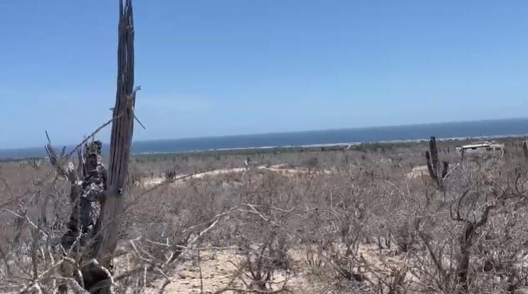 LAND LAS PLAYITAS Pacific BCS MLS #25-2831 43 MLS #25-2831 image #4